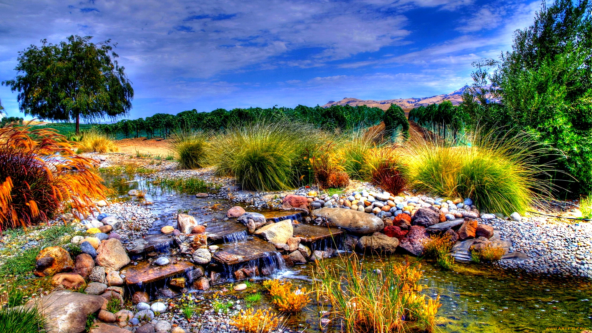 природа, реки, озера, трава, ручей, камни, сады, лето