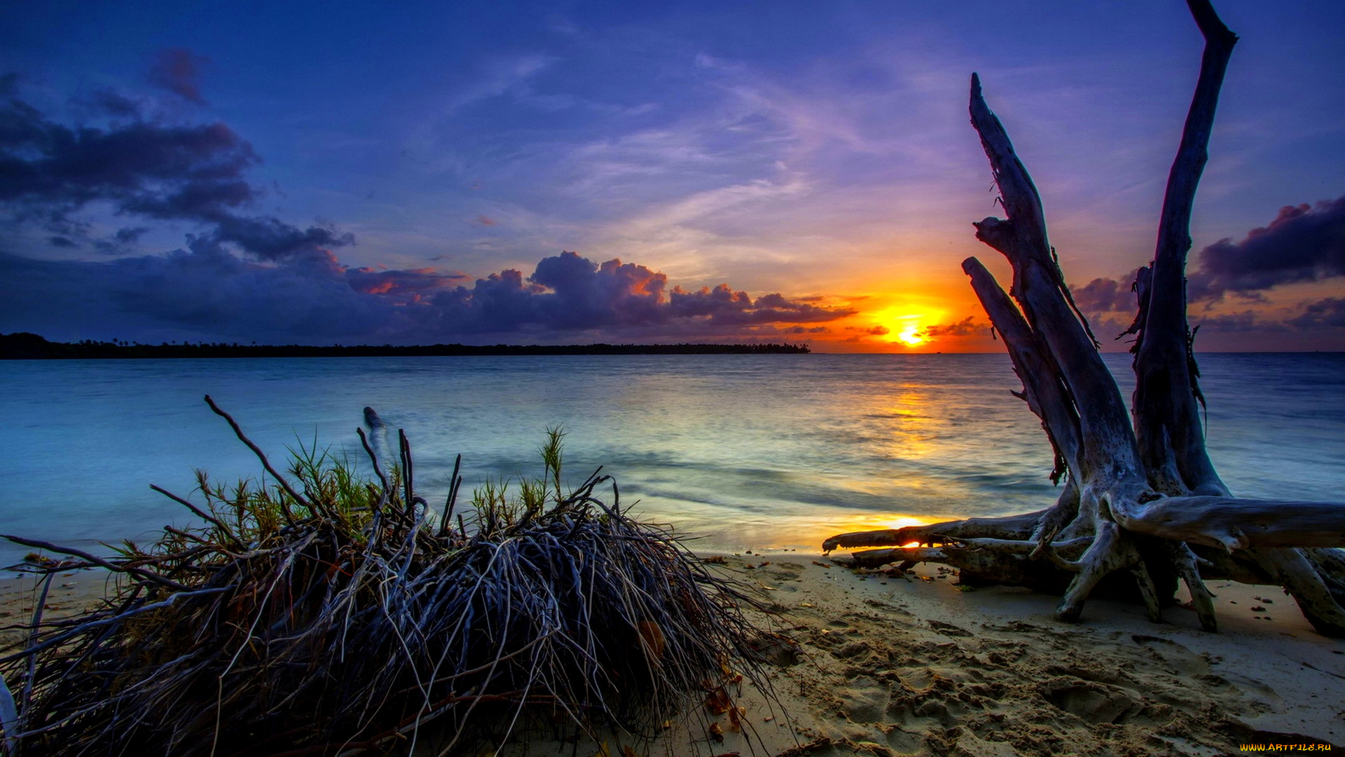 природа, восходы, закаты, плляж, ззакат, коряга, следы, ппесок