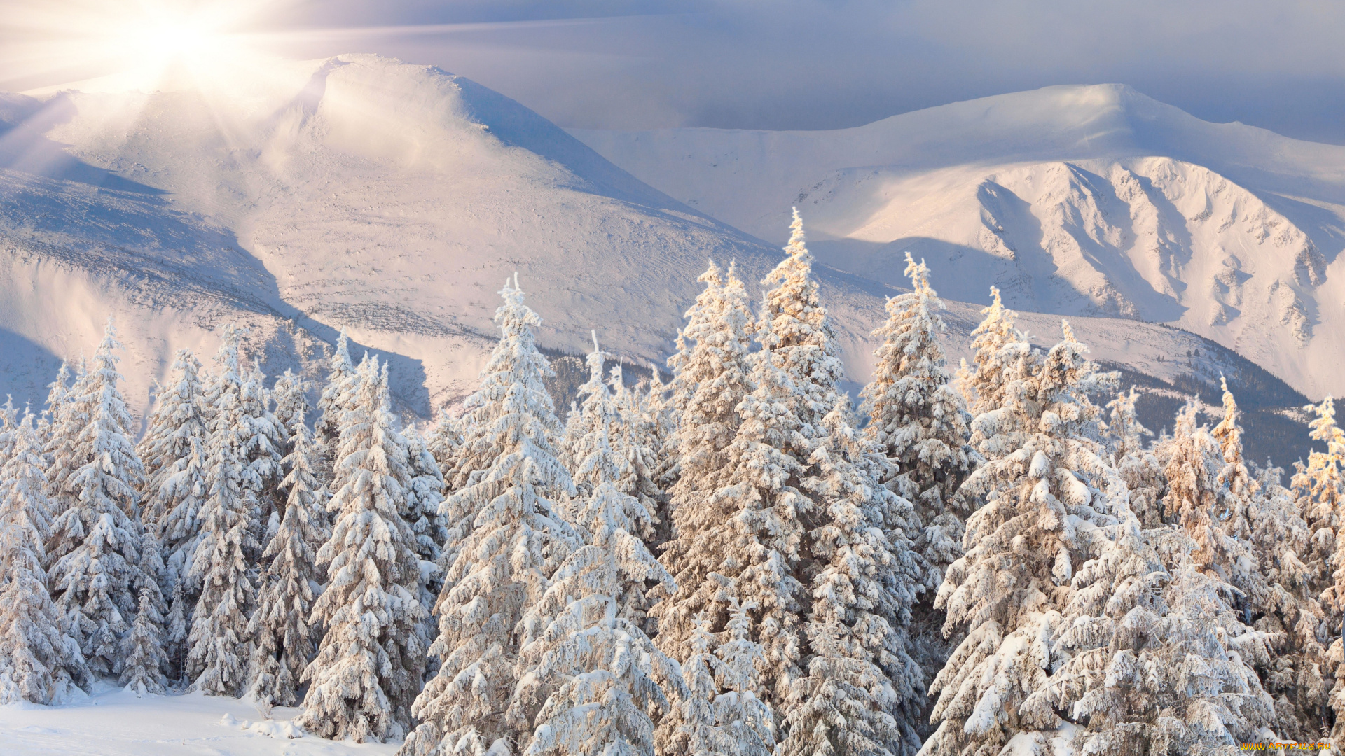 природа, зима, снег, ели, горы