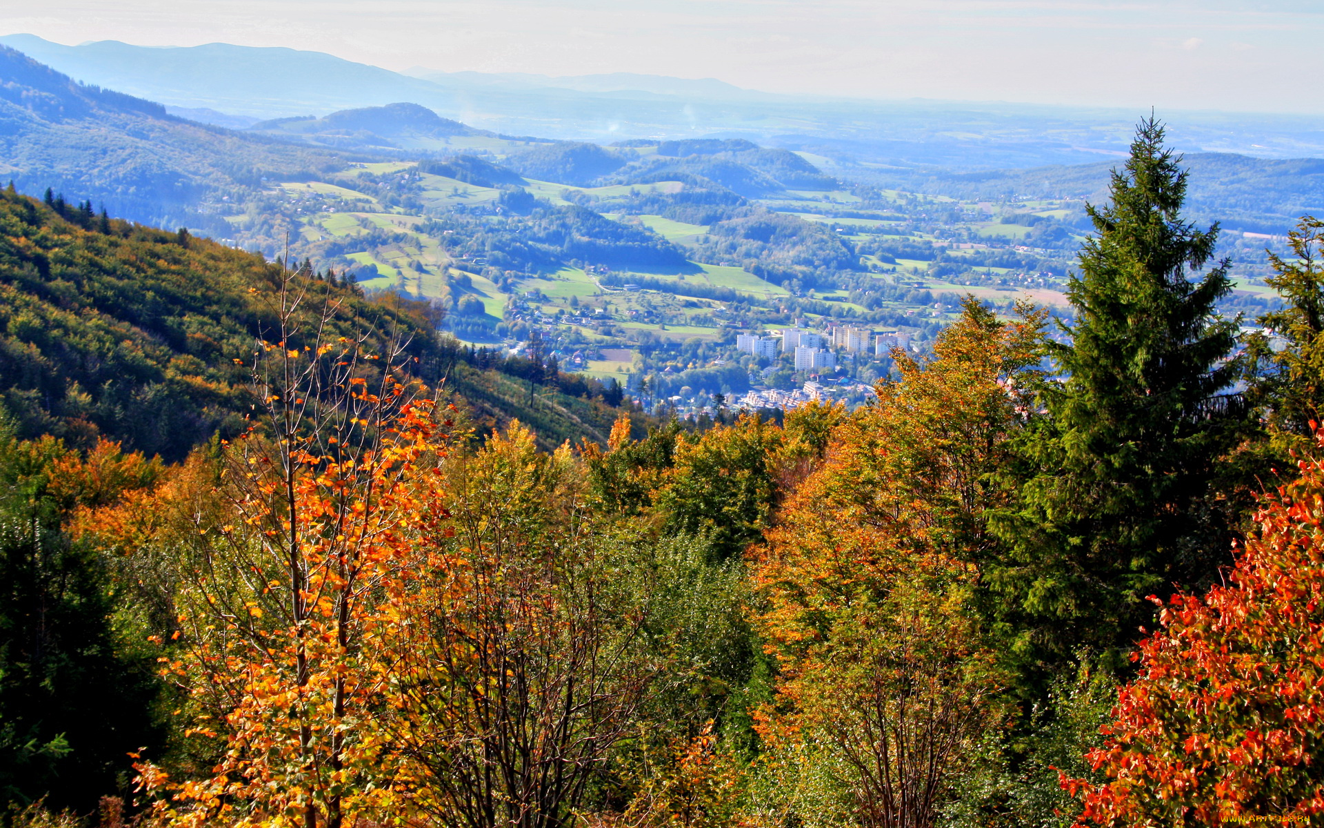 польша, устронь, природа, пейзажи, осень