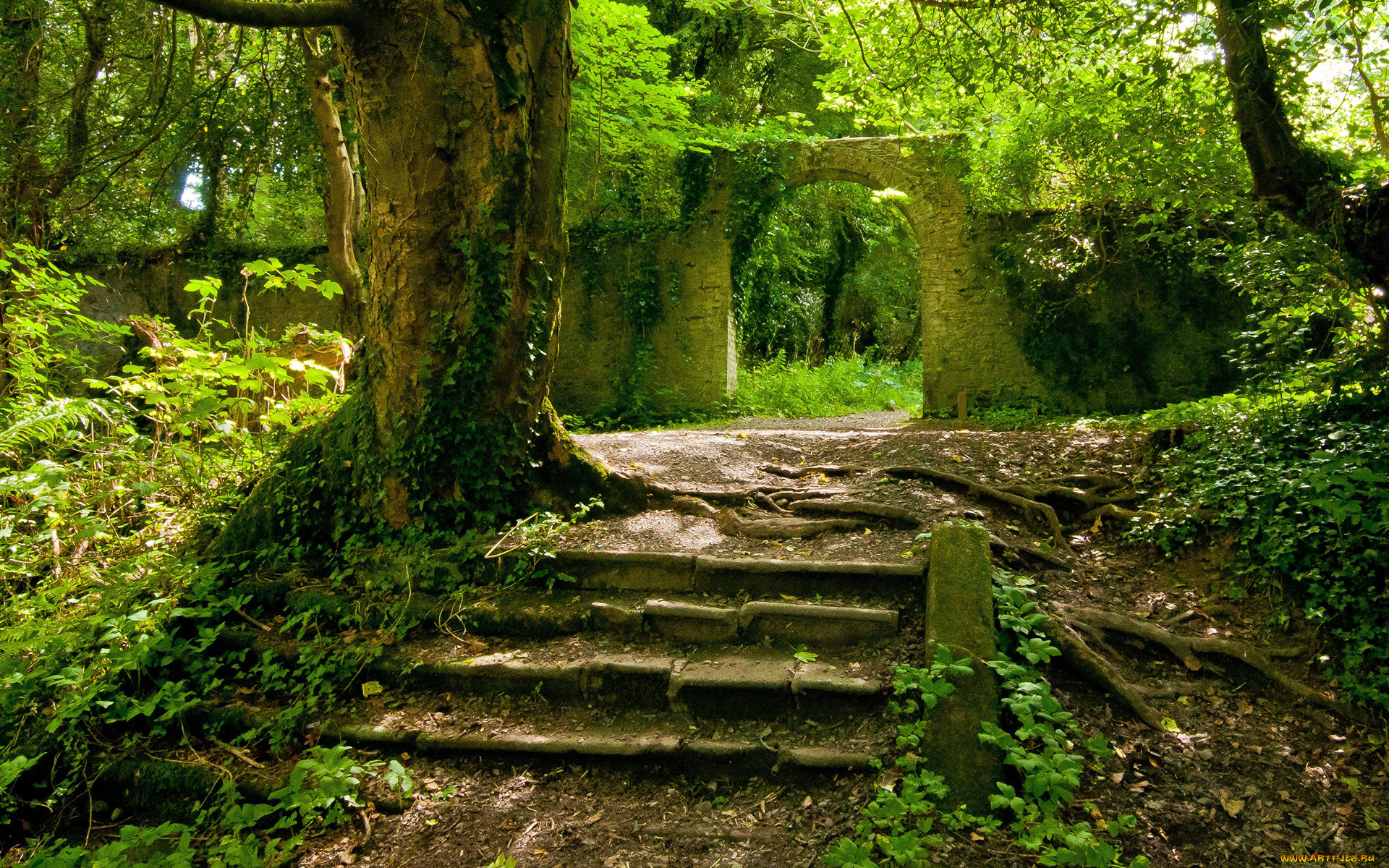 природа, парк, трава, деревья, дорожка, арка