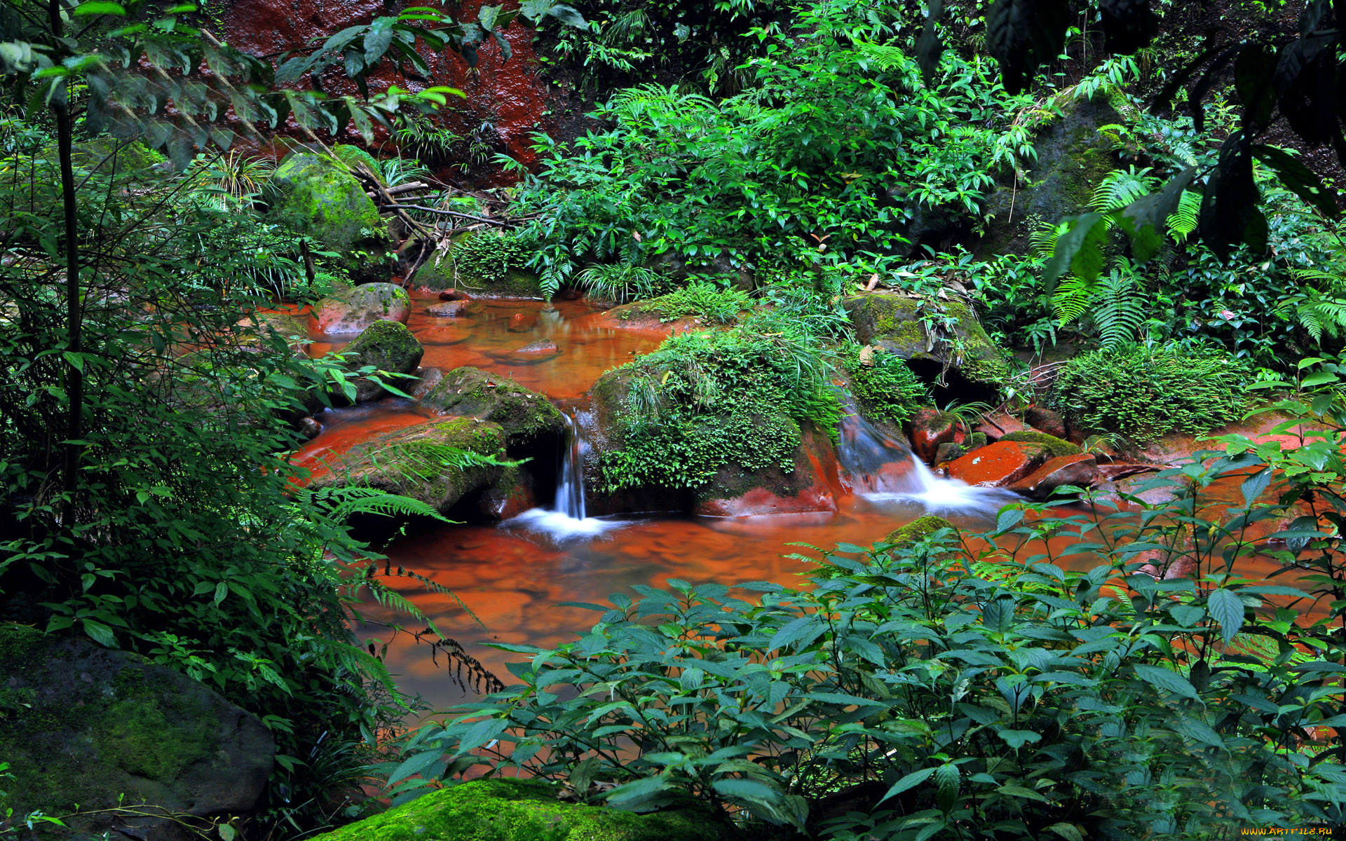 природа, реки, озера, камни, зелень, ручей