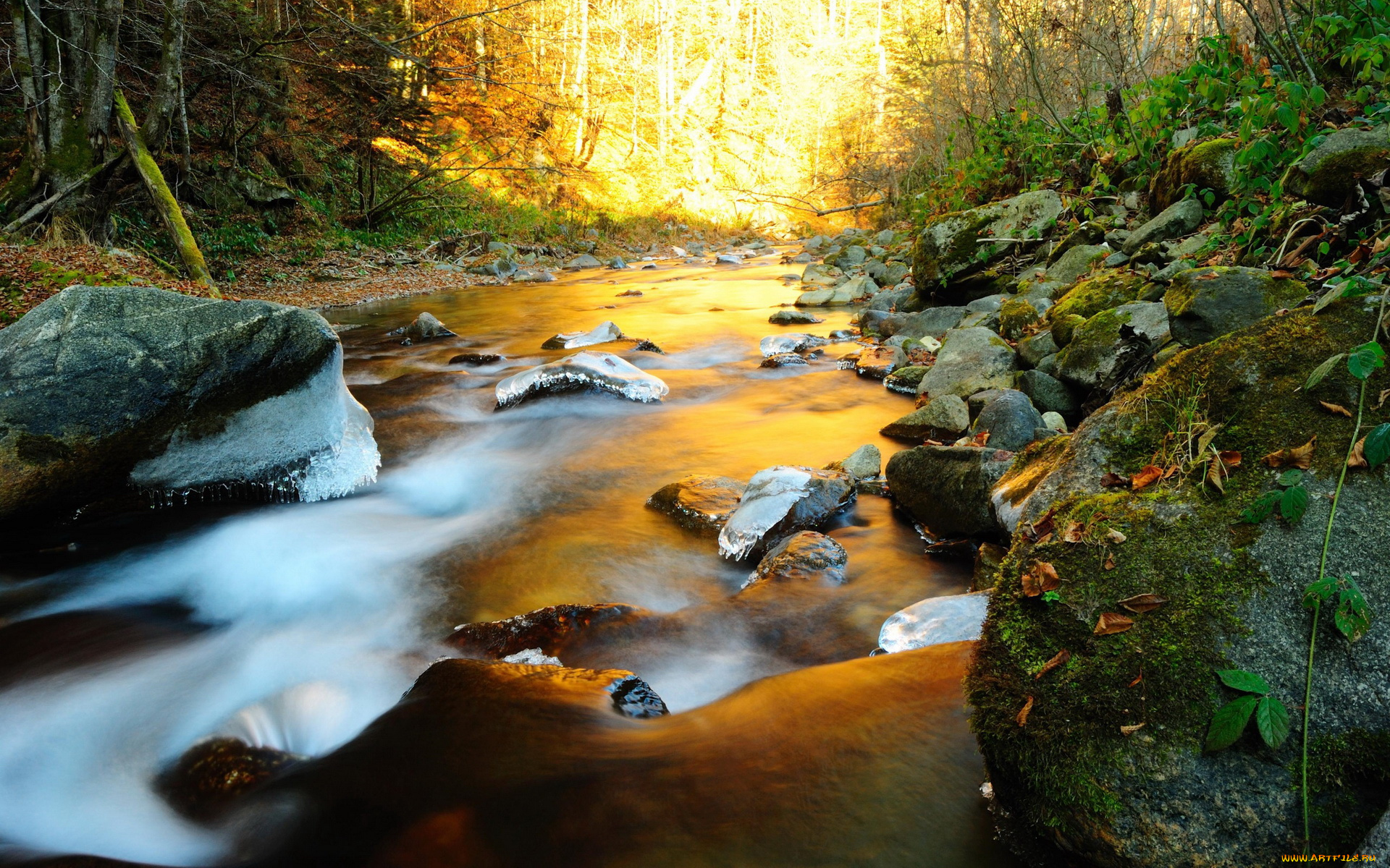 природа, реки, озера, лучи, река, лес, камни