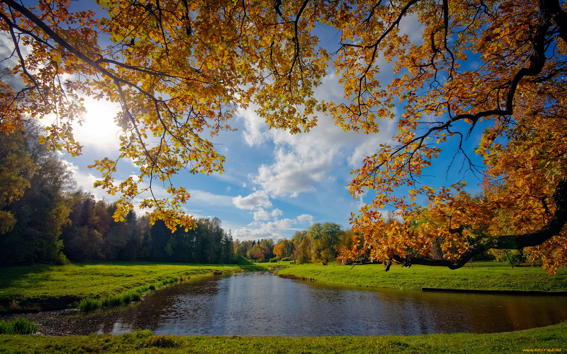 природа, реки, озера, река, лес