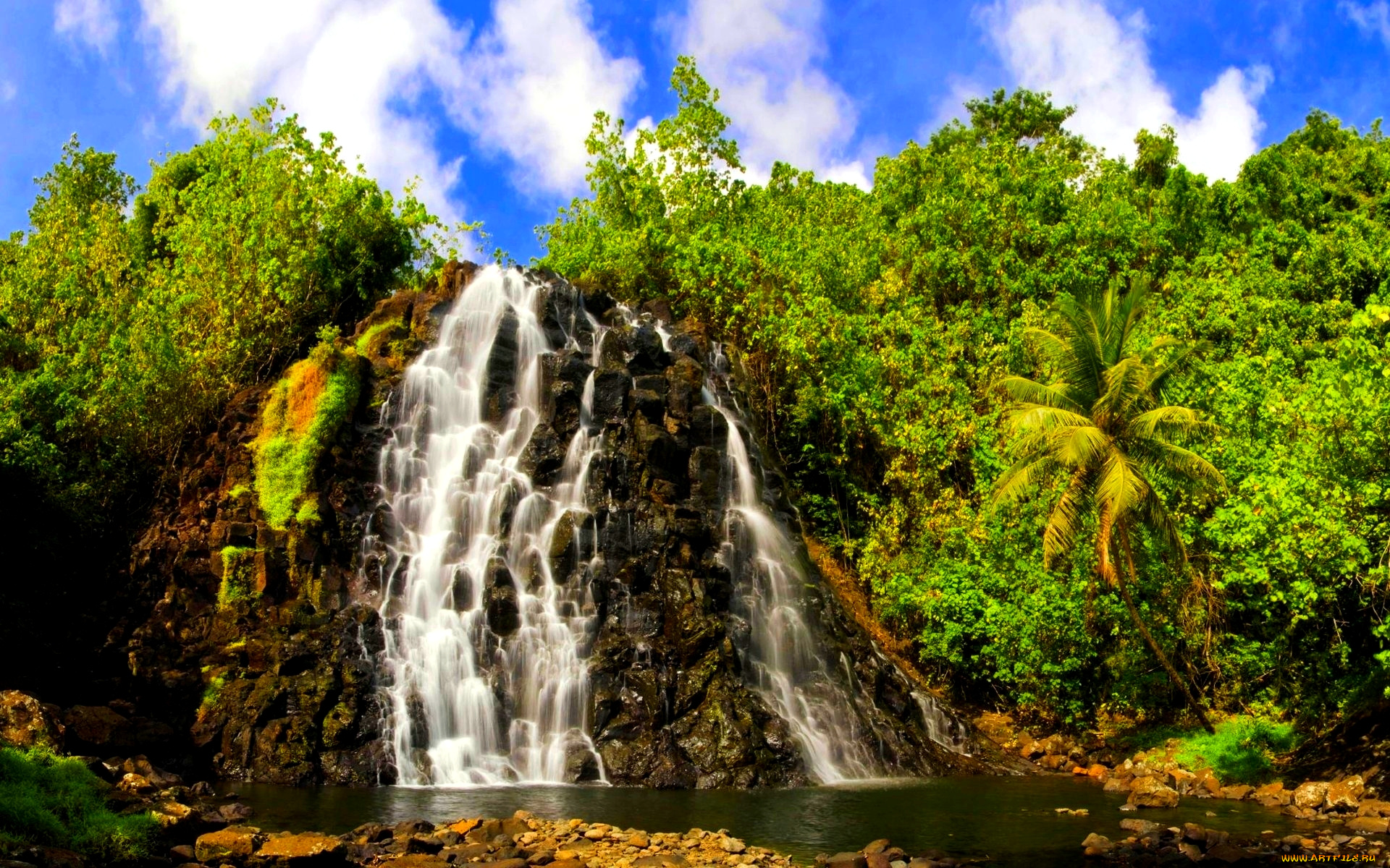 природа, водопады, тропики, джунгли, обрыв, река, водопад