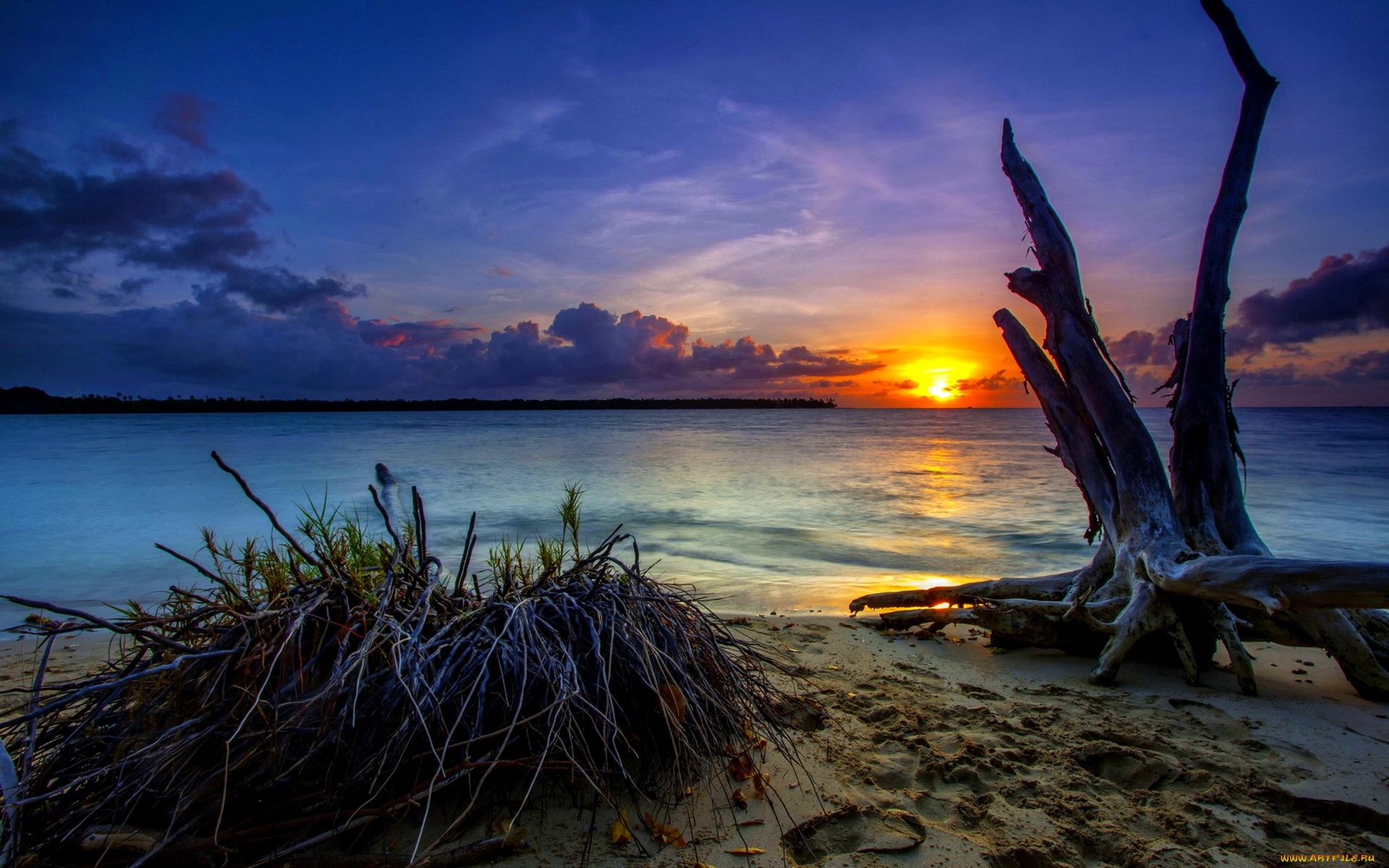 природа, восходы, закаты, плляж, ззакат, коряга, следы, ппесок