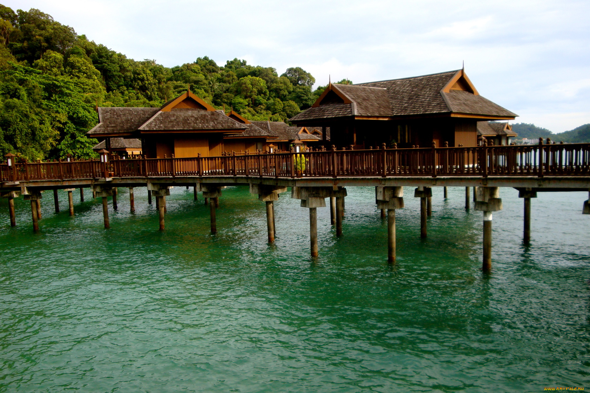 мальдивы, природа, тропики