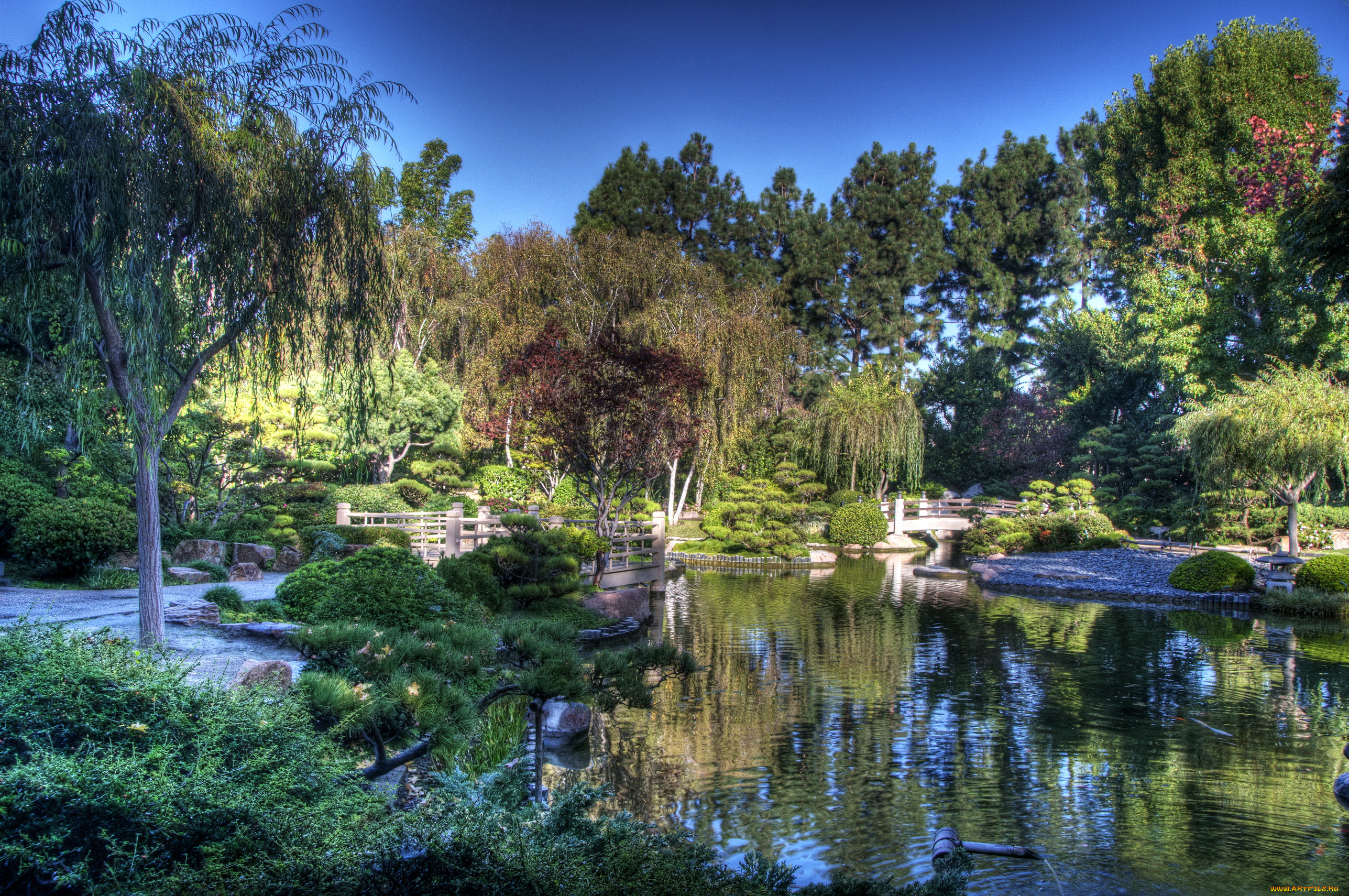 earl, burns, miller, japanese, garden, california, usa, природа, парк, сад