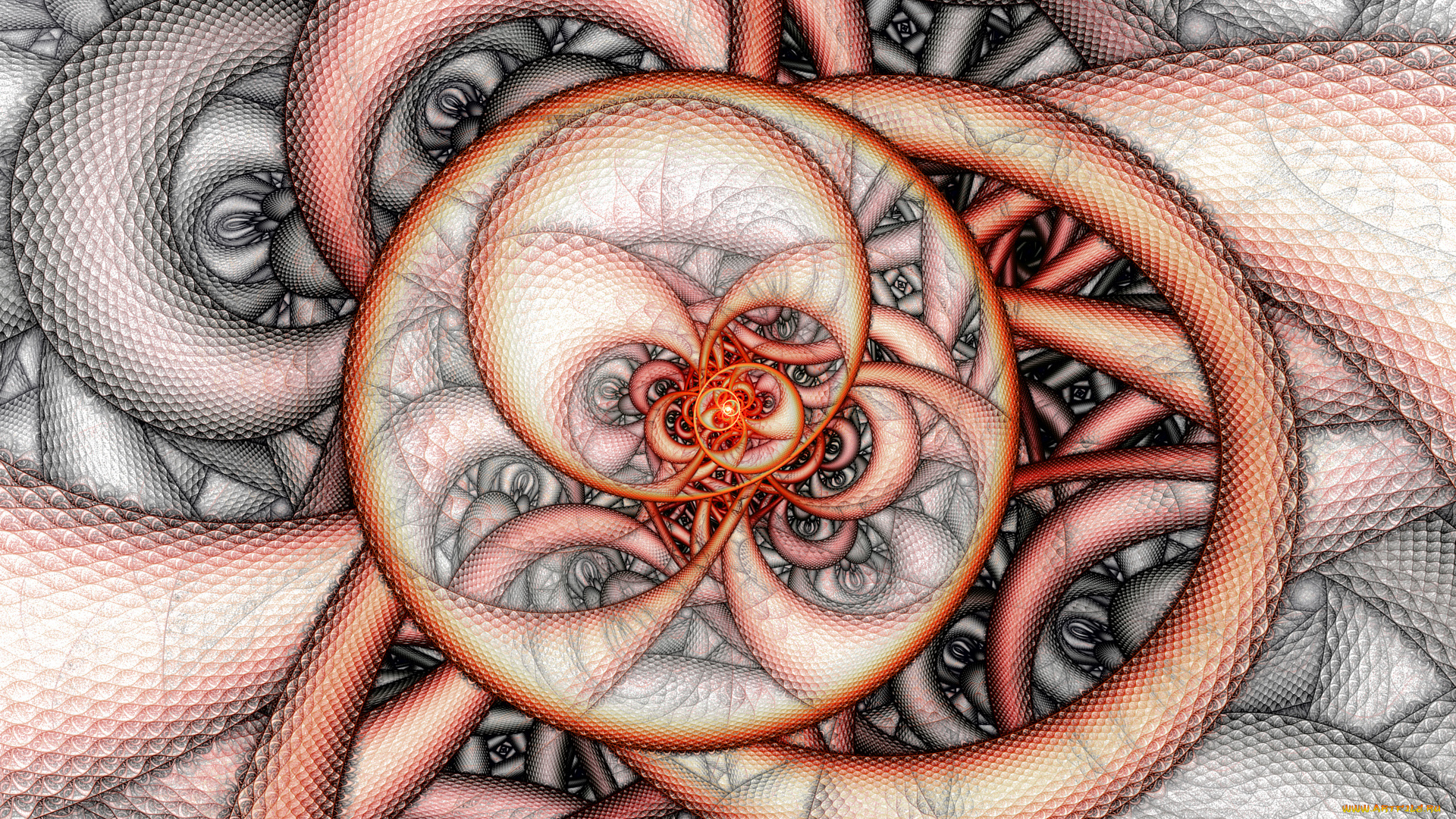 3д, графика, fractal, фракталы