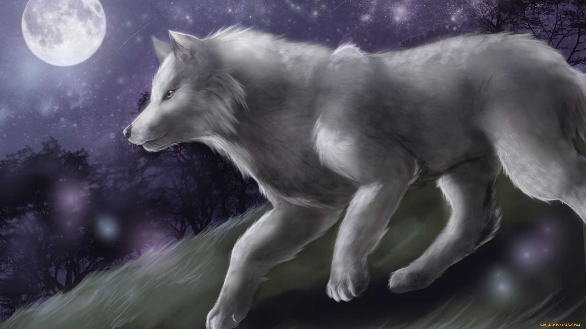 рисованные, животные, , волки