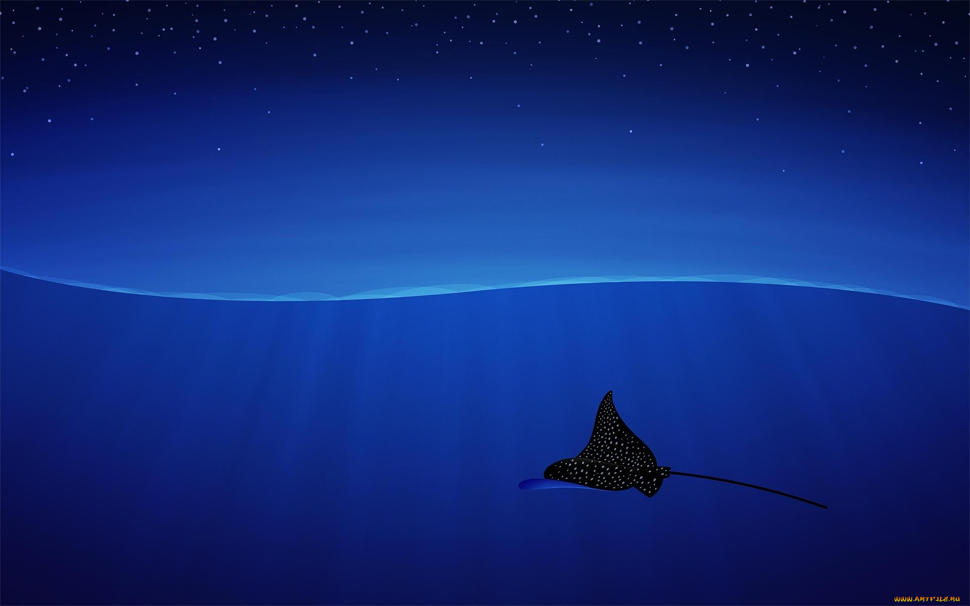 рисованные, -минимализм