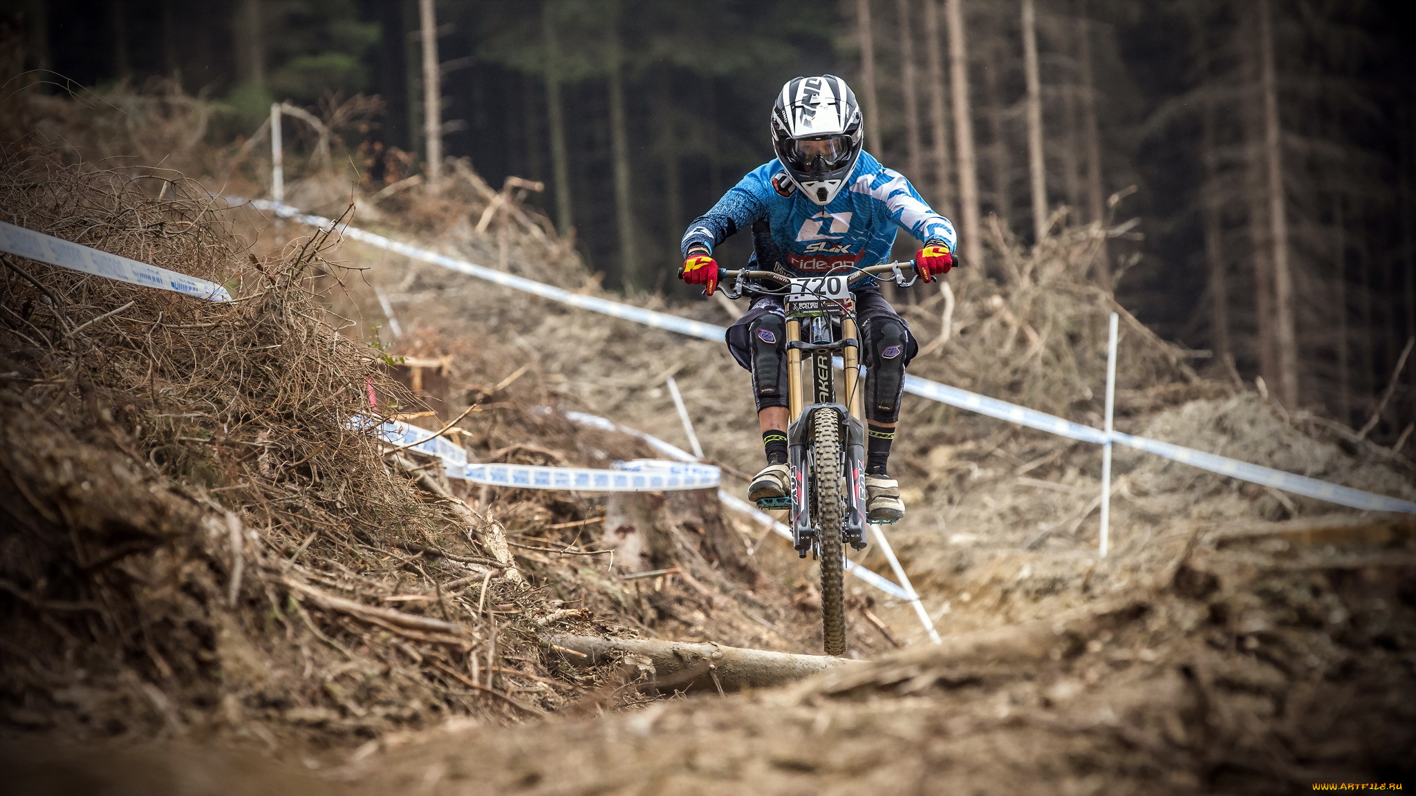 спорт, велоспорт