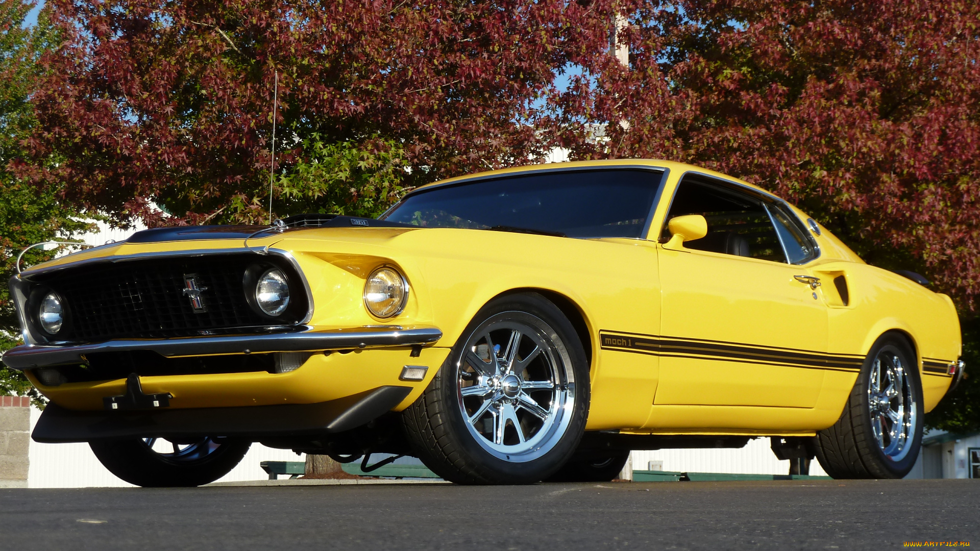 1969, mach, 1, автомобили, mustang