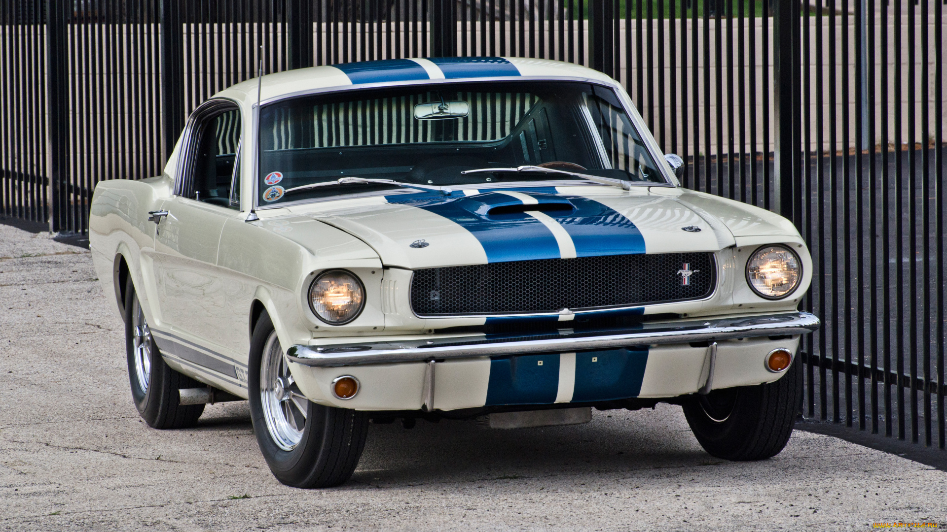 автомобили, mustang