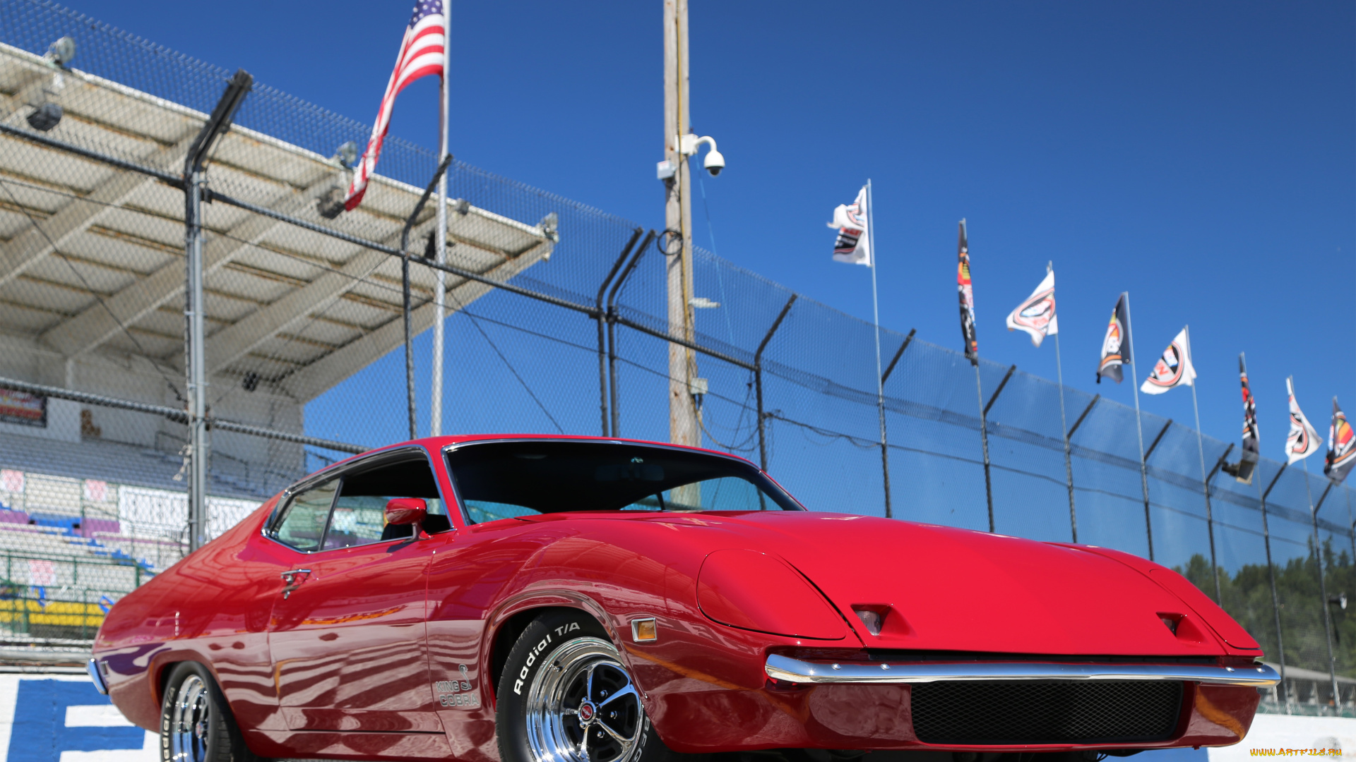 ford, torino, king, cobra, автомобили, ford