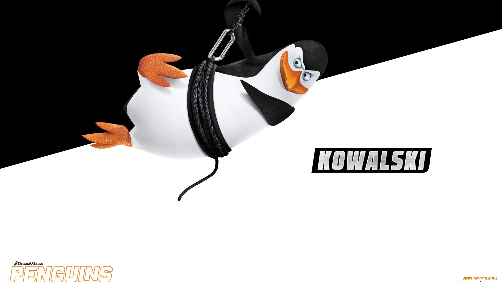 kowalski, мультфильмы, the, penguins, of, madagascar, мадагаскар, пингвины