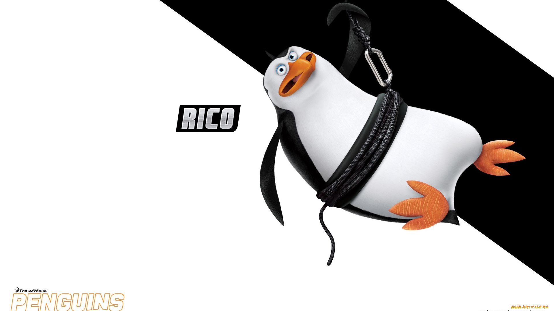 rico, мультфильмы, the, penguins, of, madagascar, пингвины, мадагаскар