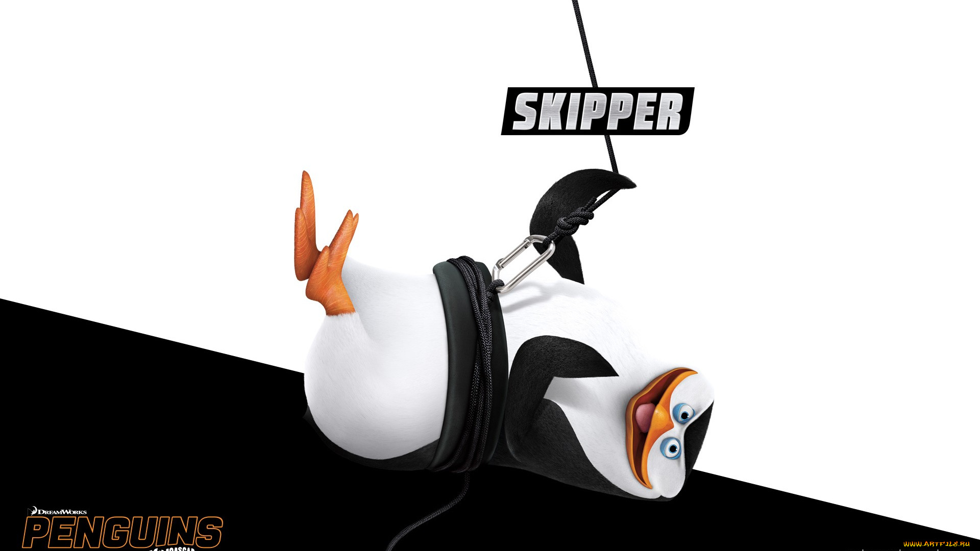 skipper, мультфильмы, the, penguins, of, madagascar, пингвины, мадагаскар