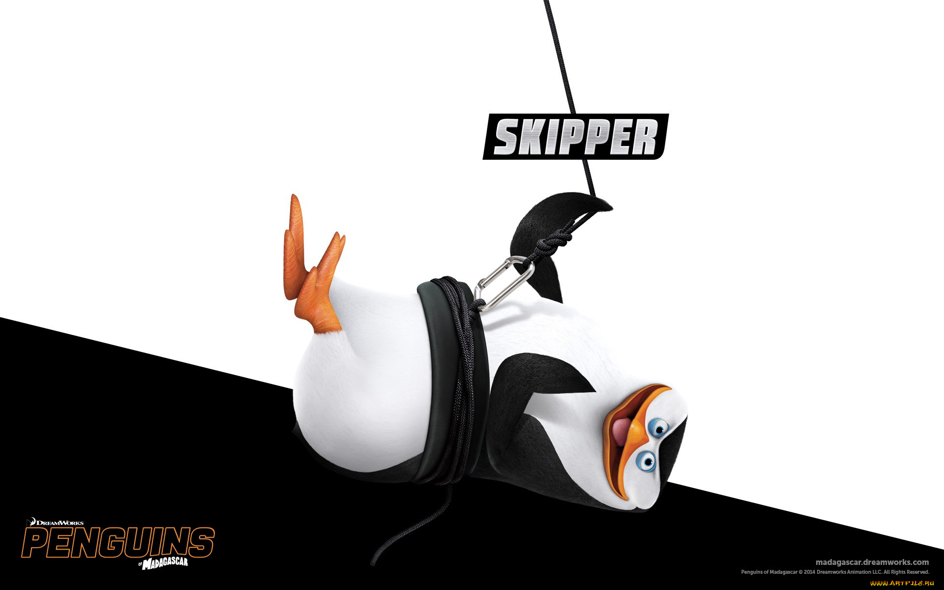 skipper, мультфильмы, the, penguins, of, madagascar, пингвины, мадагаскар