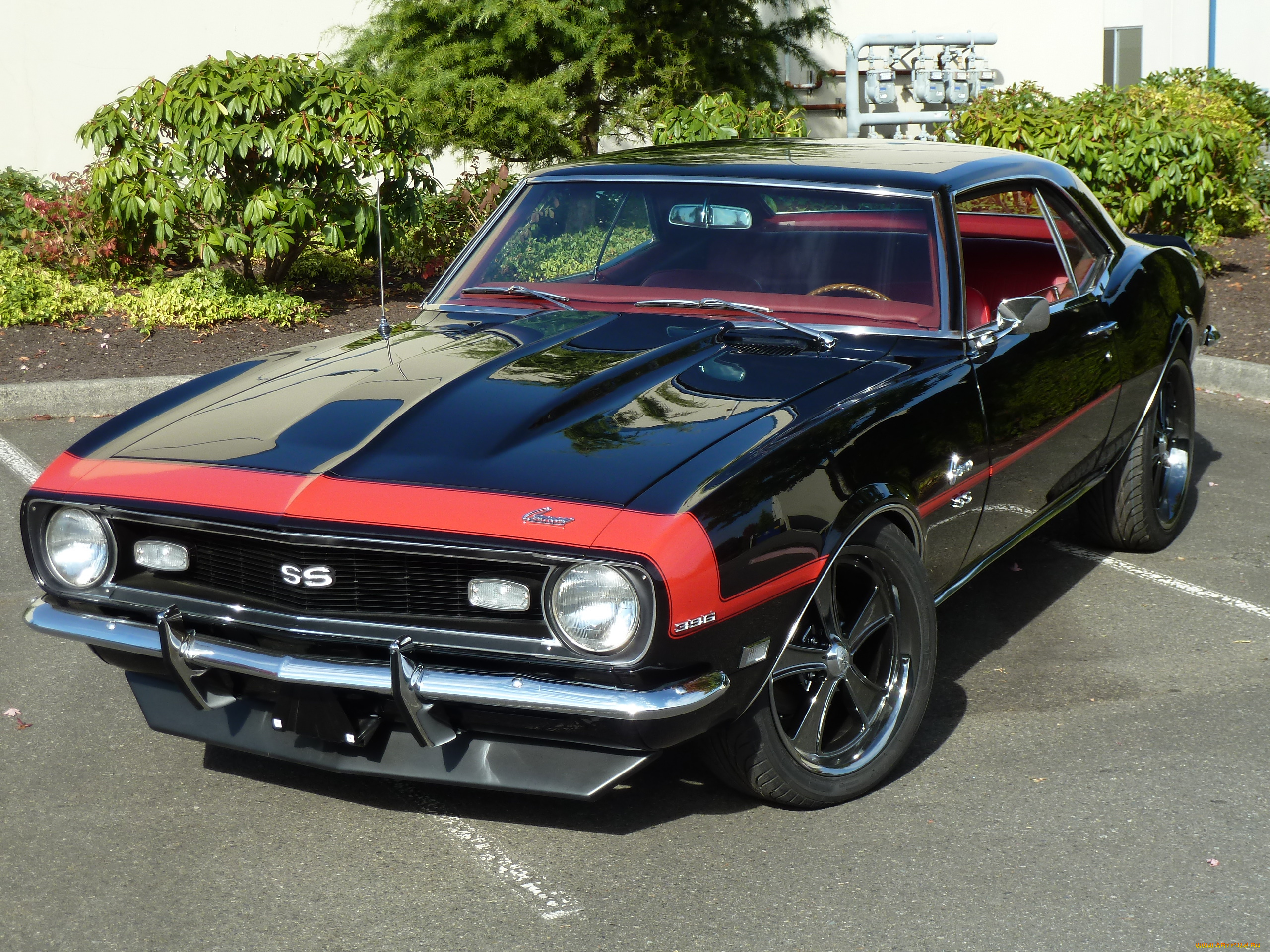 1968, camaro, ss396, автомобили, camaro