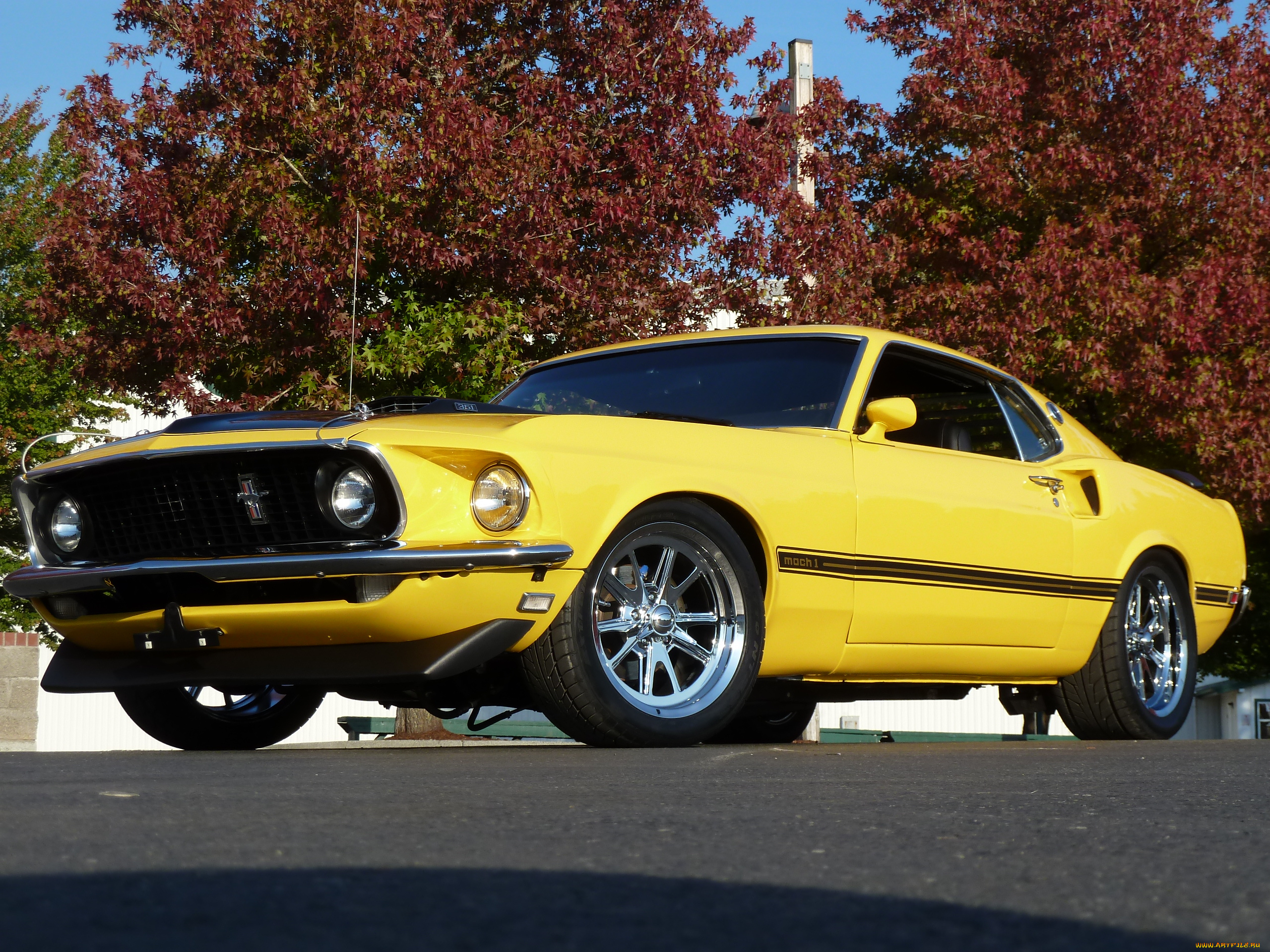 1969, mach, 1, автомобили, mustang