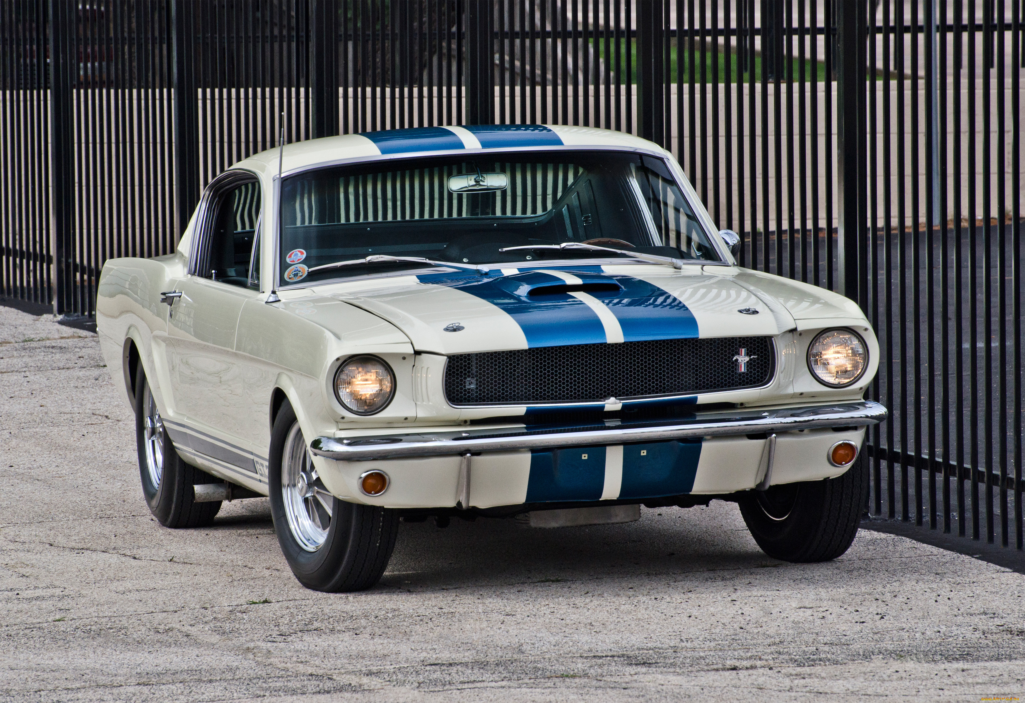 автомобили, mustang