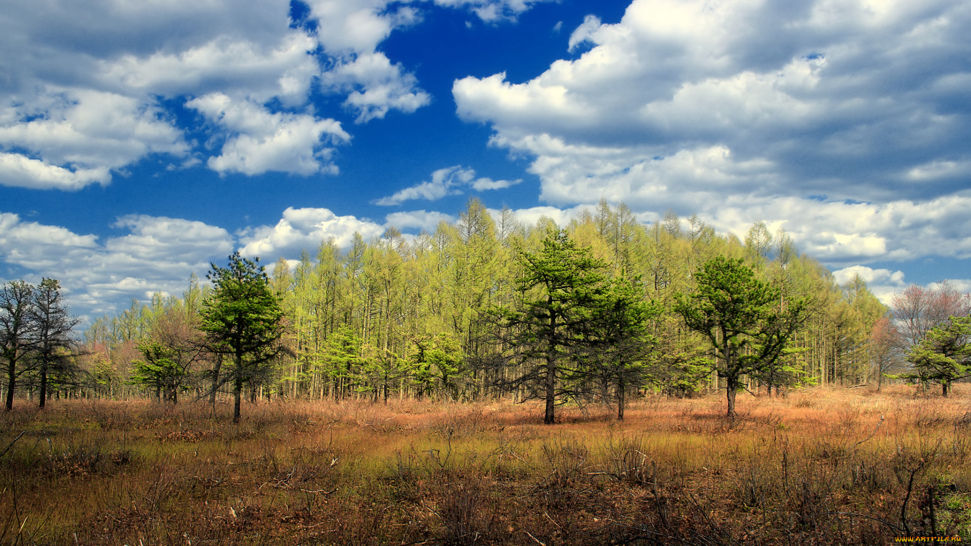 природа, пейзажи, осень
