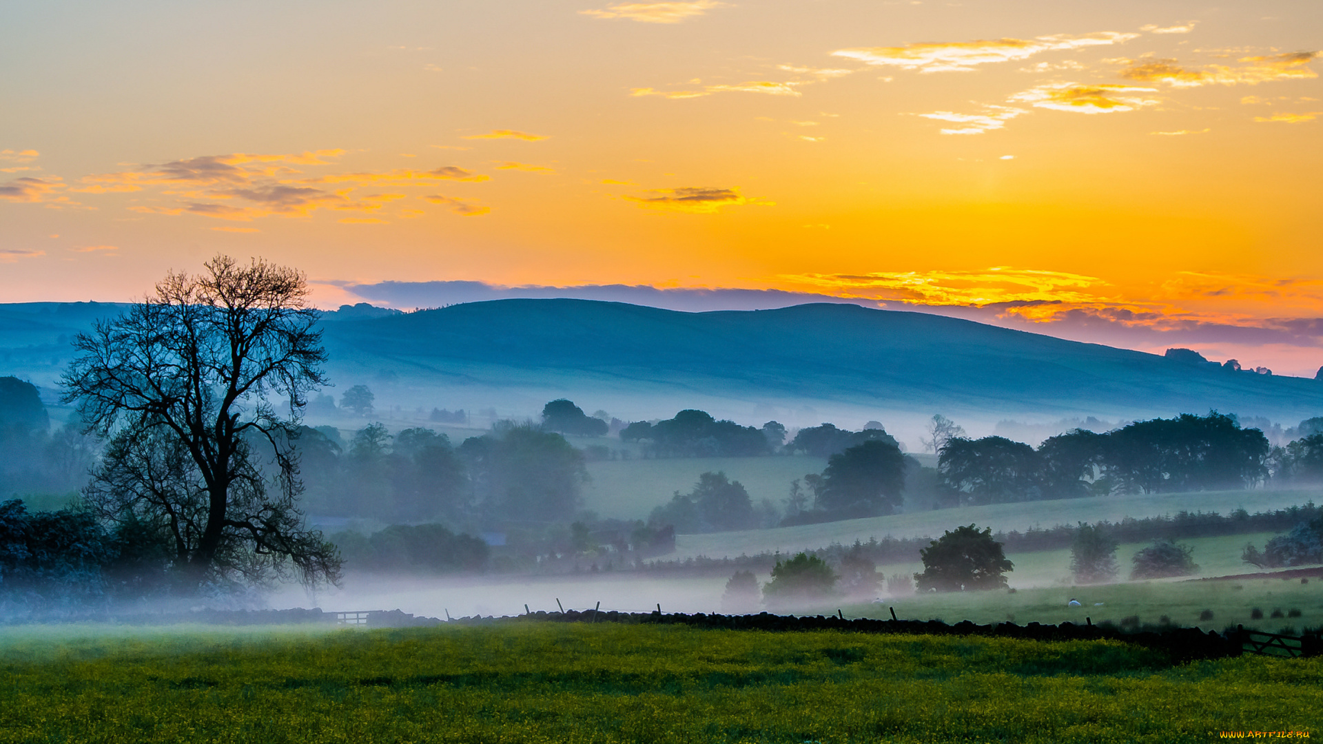 природа, пейзажи, туман, деревья, поле, холмы, горы, небо, закат