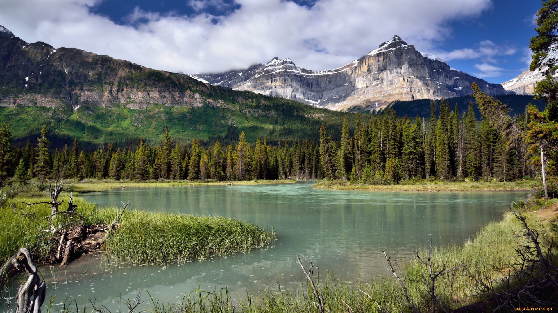 природа, реки, озера, горы, лес, река