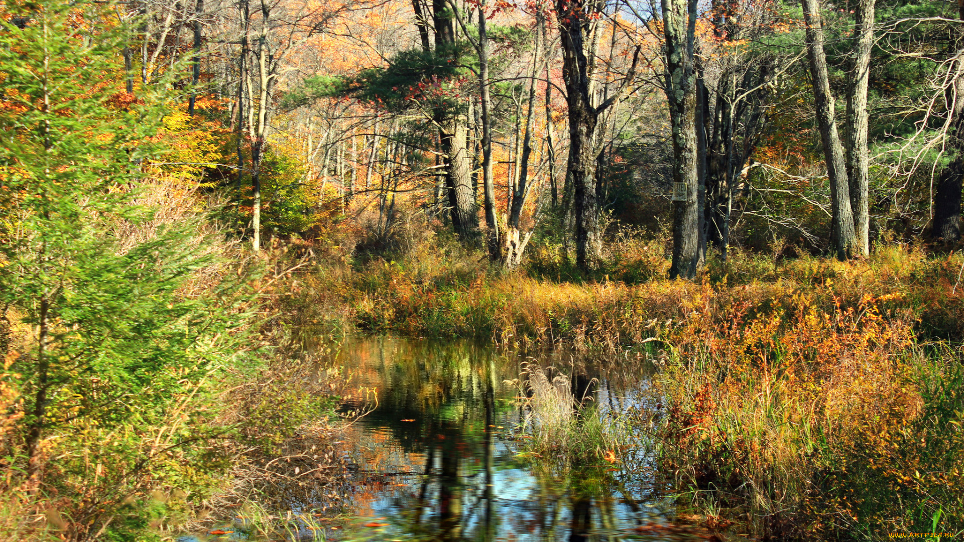 природа, реки, озера, осень