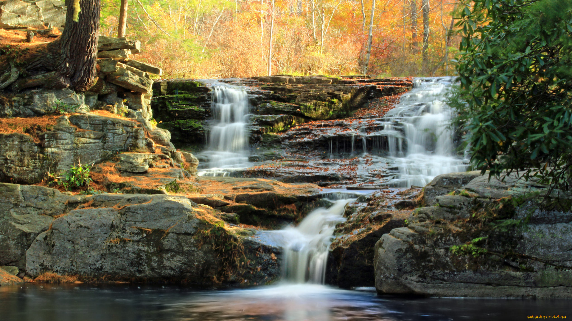 природа, водопады, лес, водопад, река