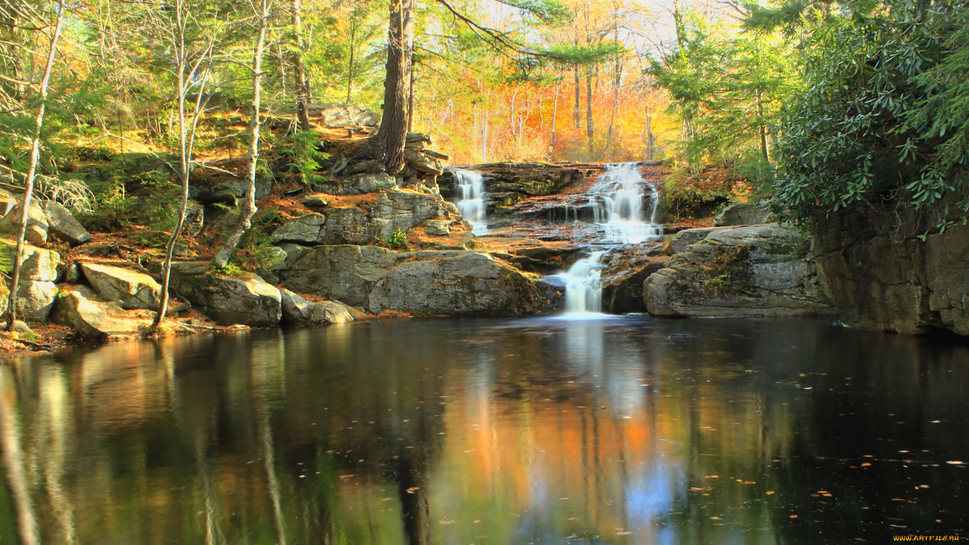 природа, водопады, лес, водопад, река