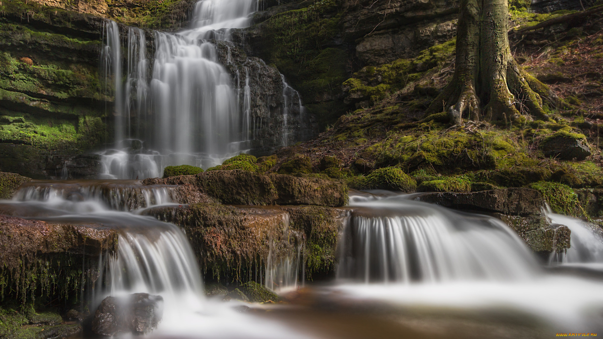 природа, водопады, водопад, река, лес