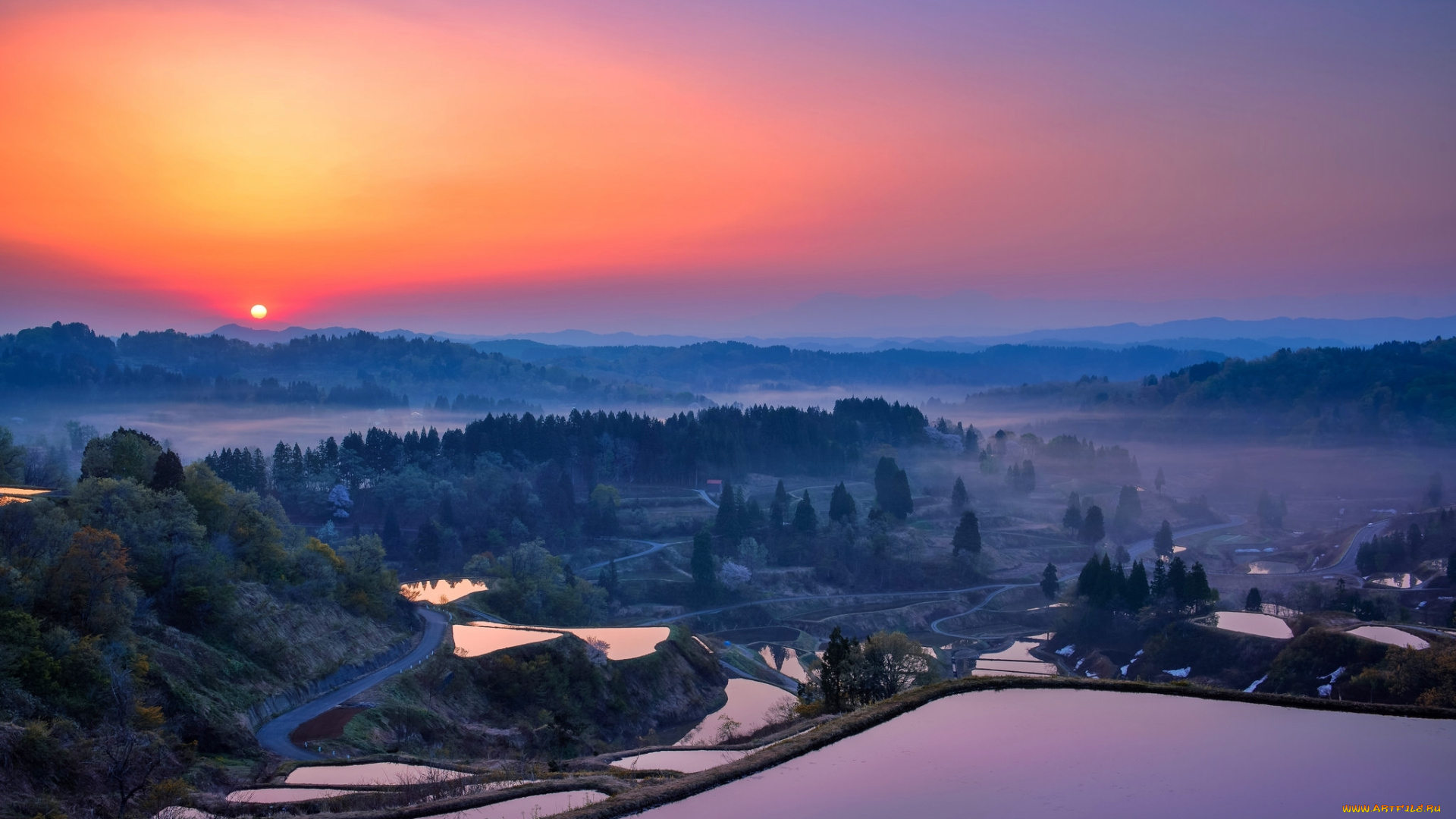 природа, восходы, закаты, деревья, лес, озеро, солнце, небо, туман