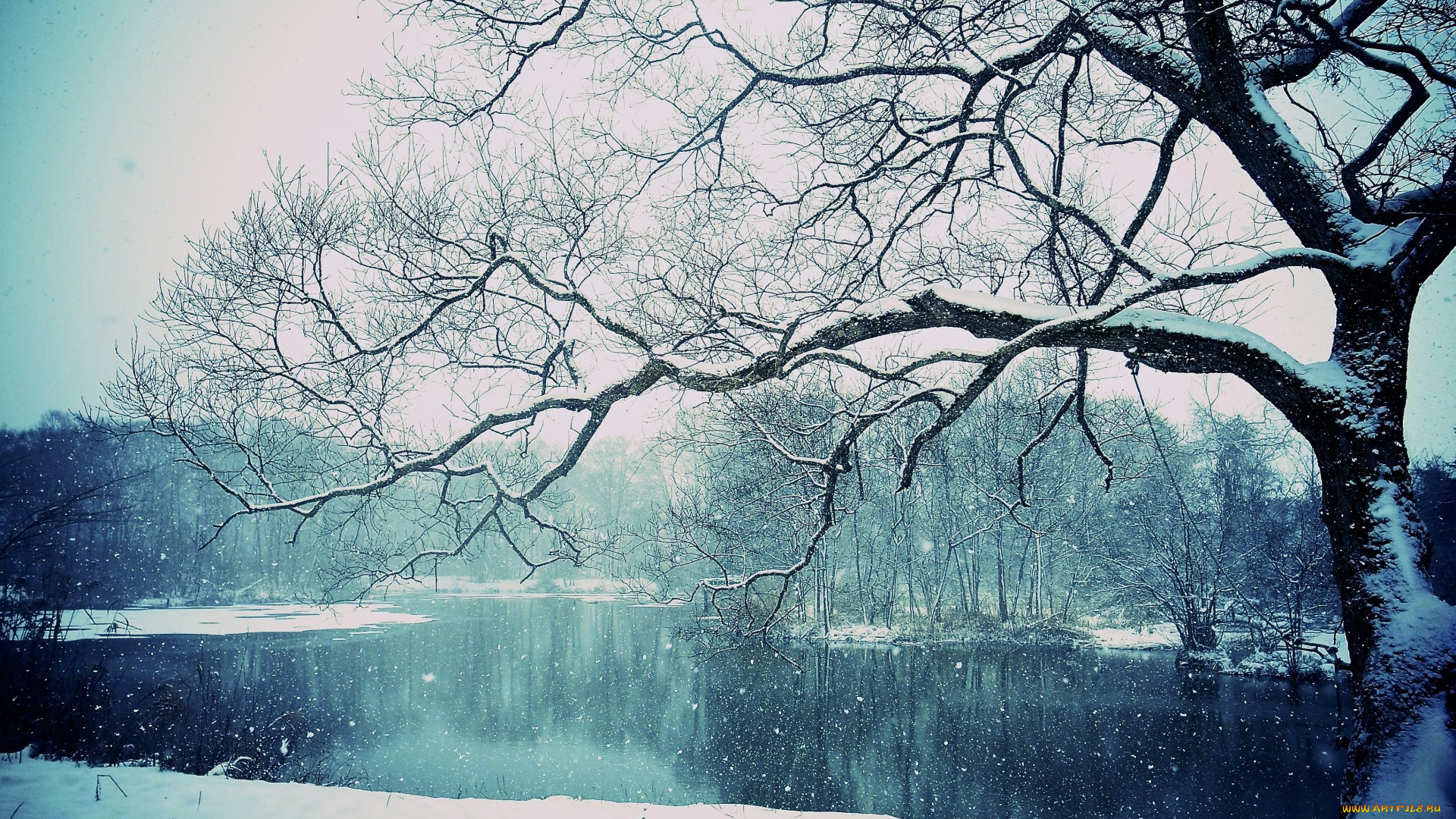 природа, зима, lake, winter, снег, дерево, озеро, snowing, tree