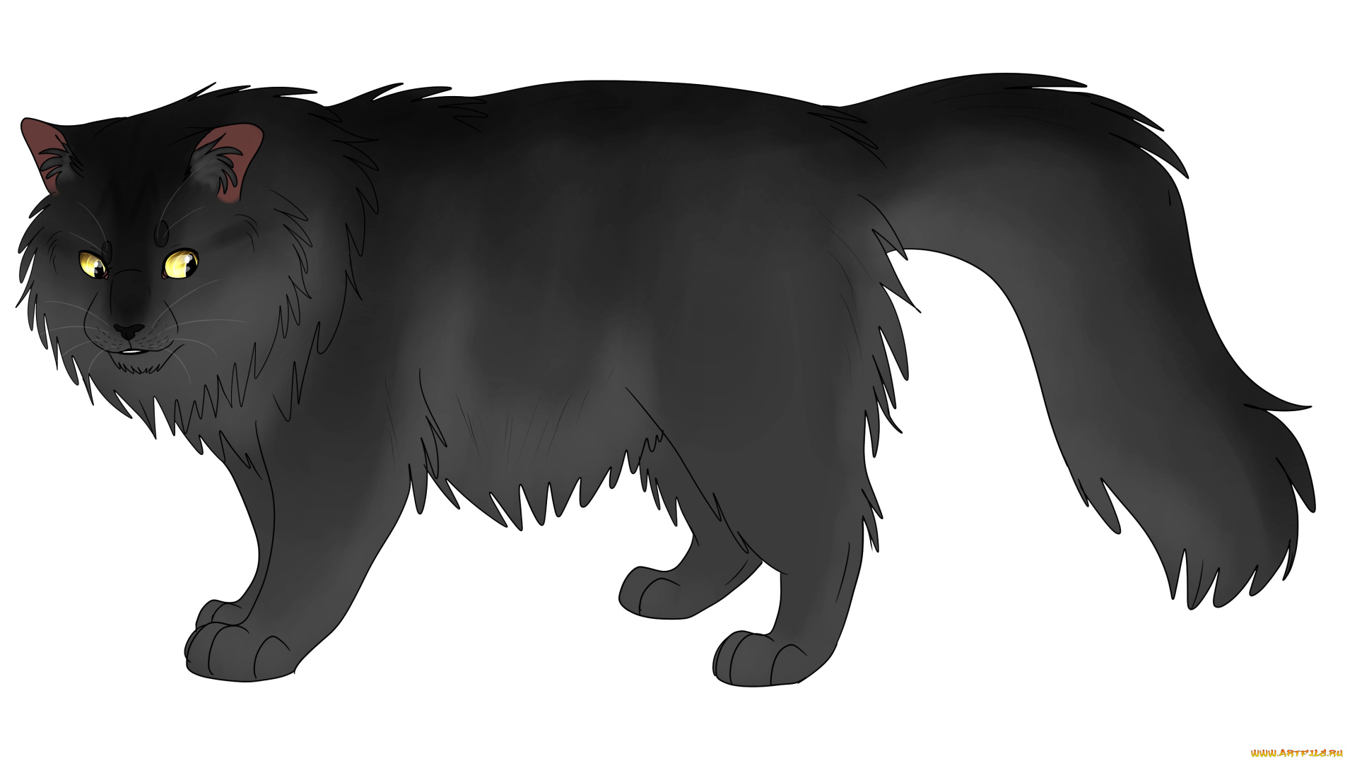 рисованное, животные, , коты, фон, взгляд, кот