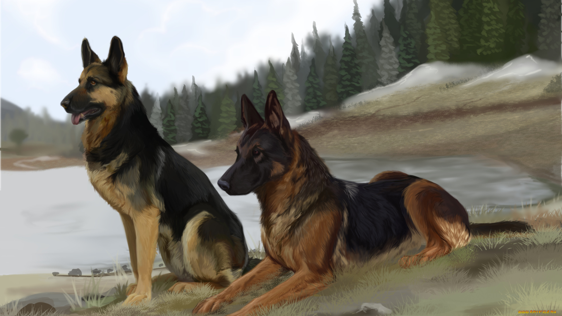 рисованное, животные, , собаки, лес, фон, взгляд, собаки