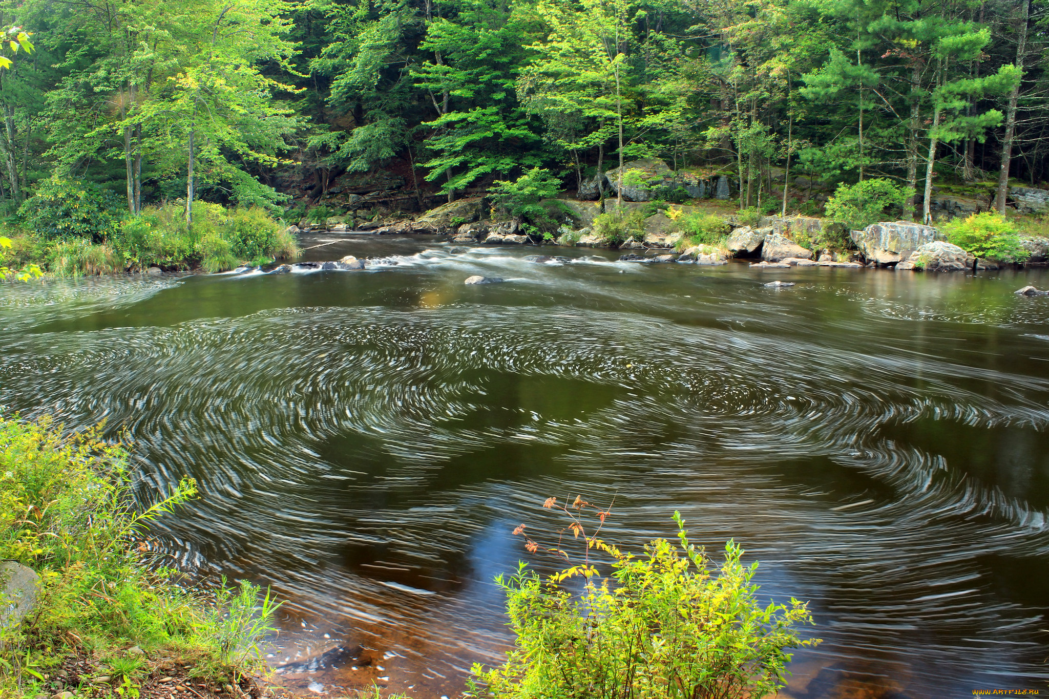 природа, реки, озера, река, лес