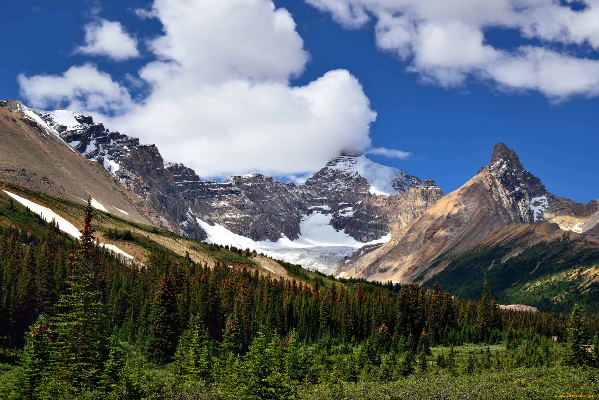 природа, горы, лес