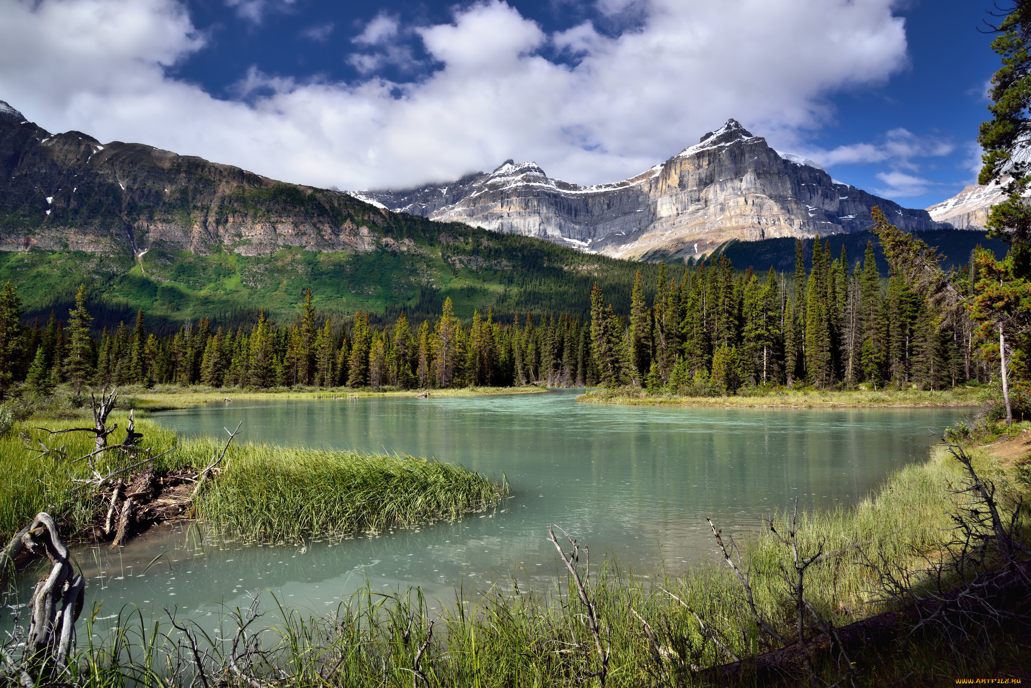 природа, реки, озера, горы, лес, река