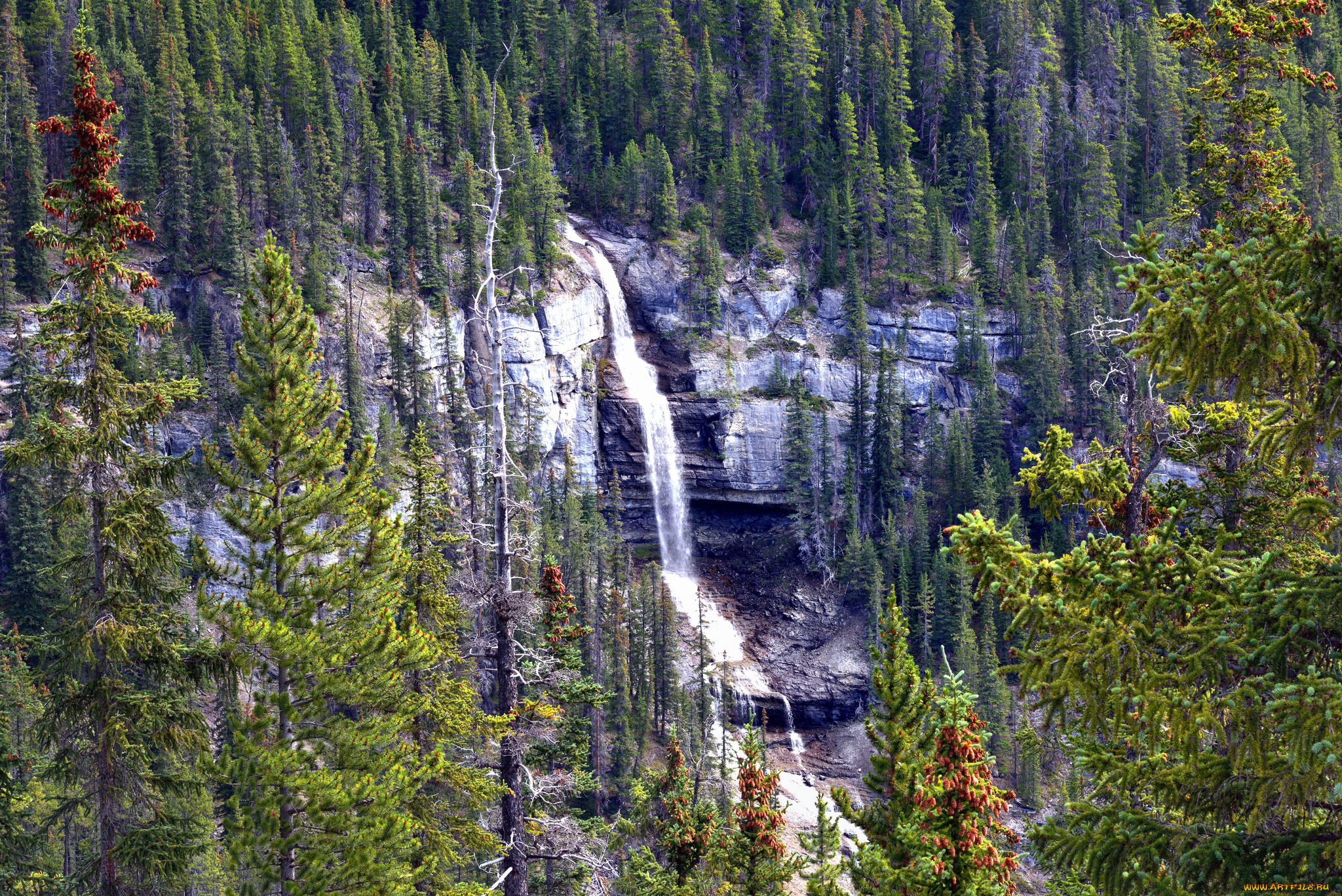 природа, водопады, река, водопад, лес