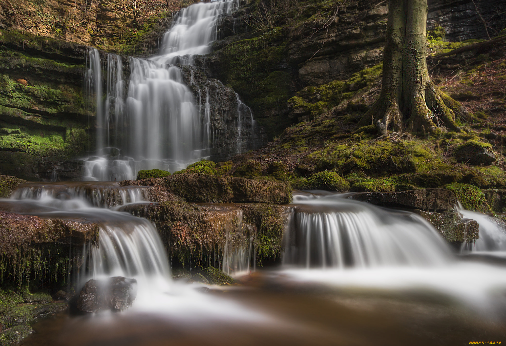 природа, водопады, водопад, река, лес
