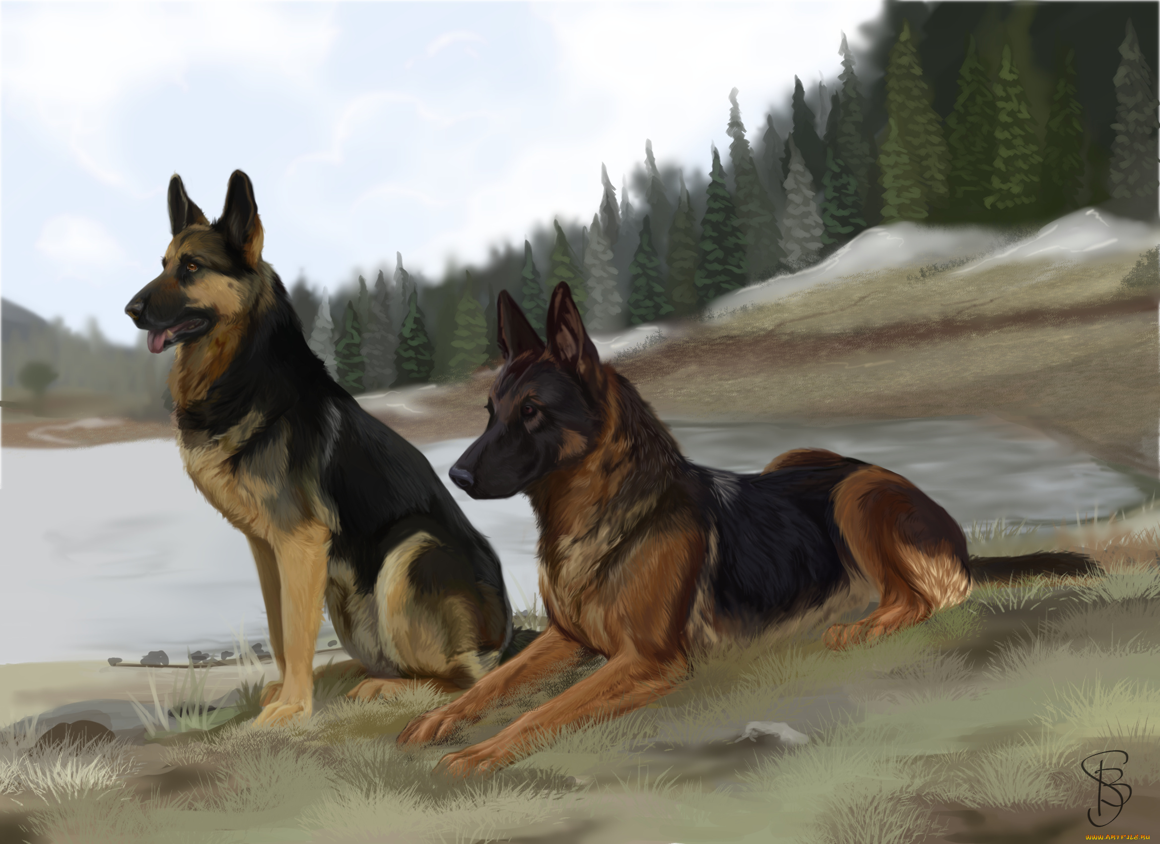 рисованное, животные, , собаки, лес, фон, взгляд, собаки