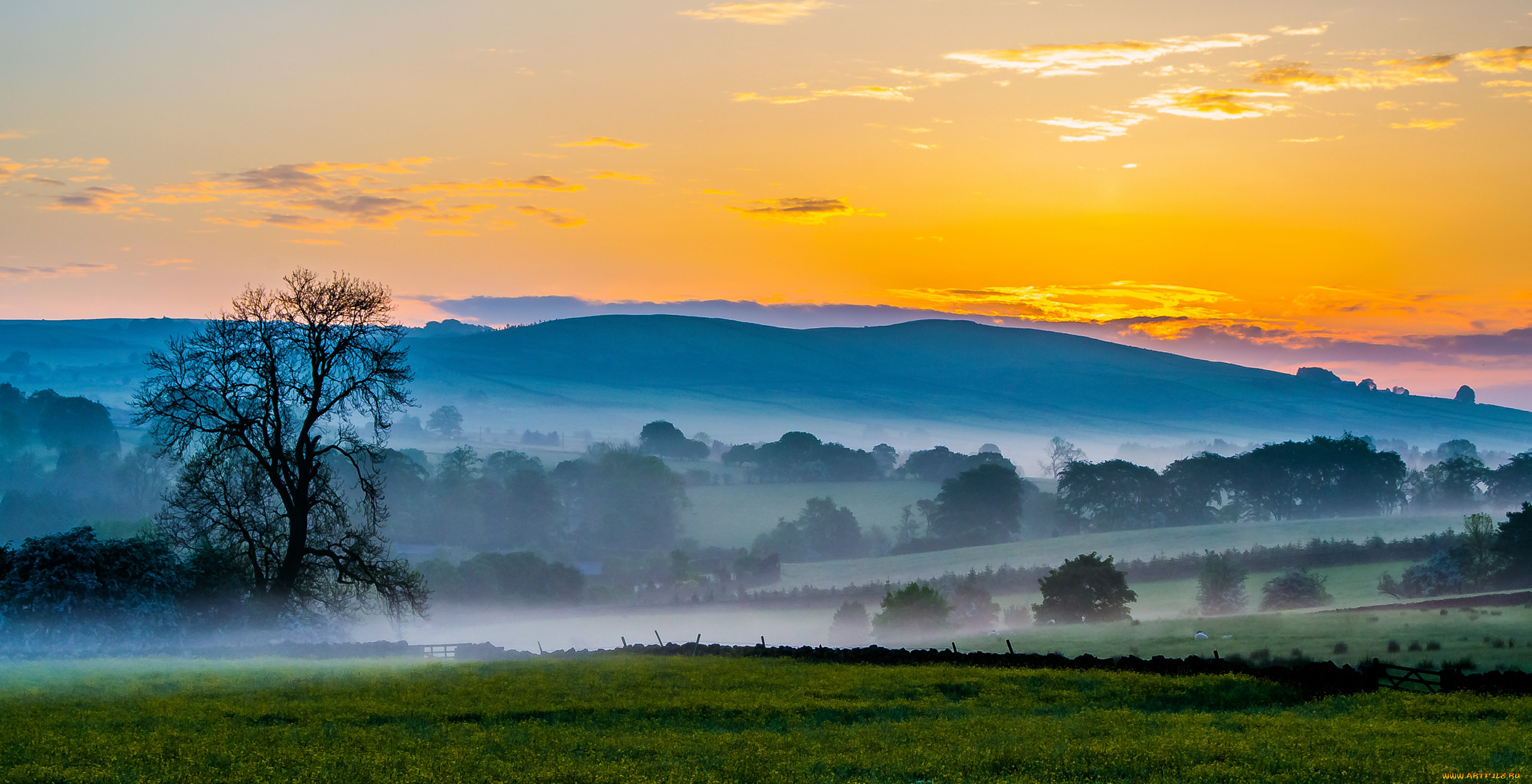природа, пейзажи, туман, деревья, поле, холмы, горы, небо, закат