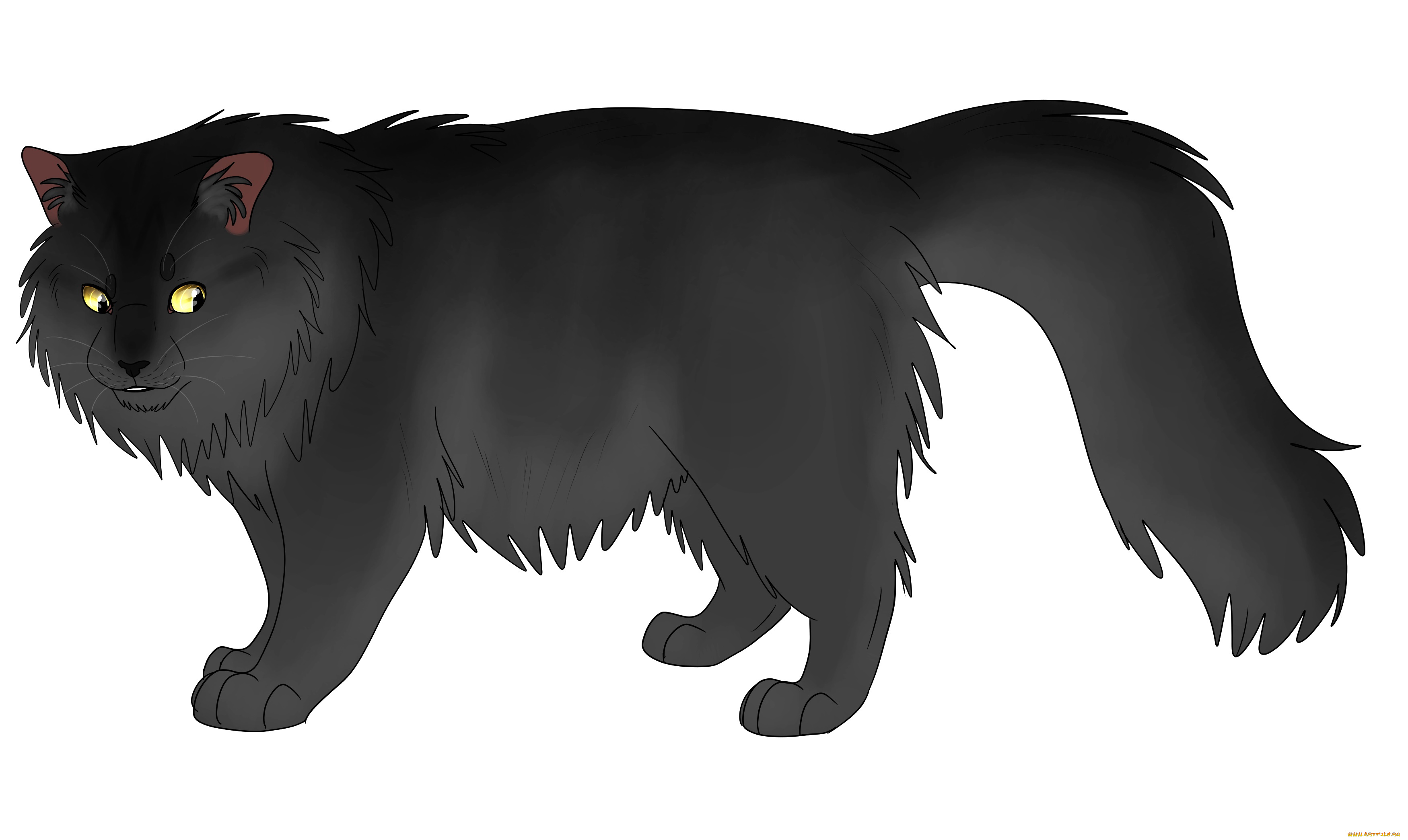 рисованное, животные, , коты, фон, взгляд, кот