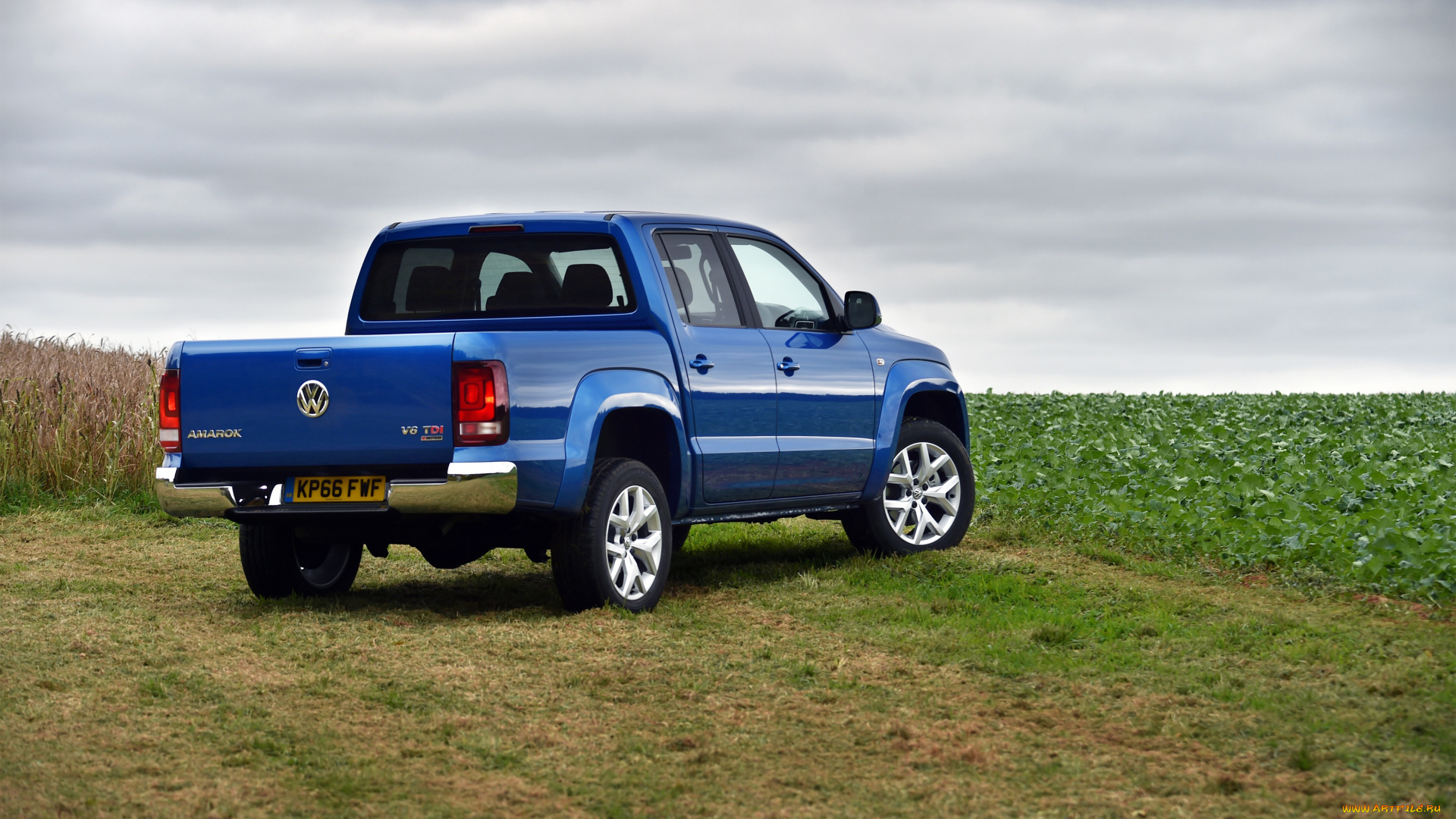 автомобили, volkswagen