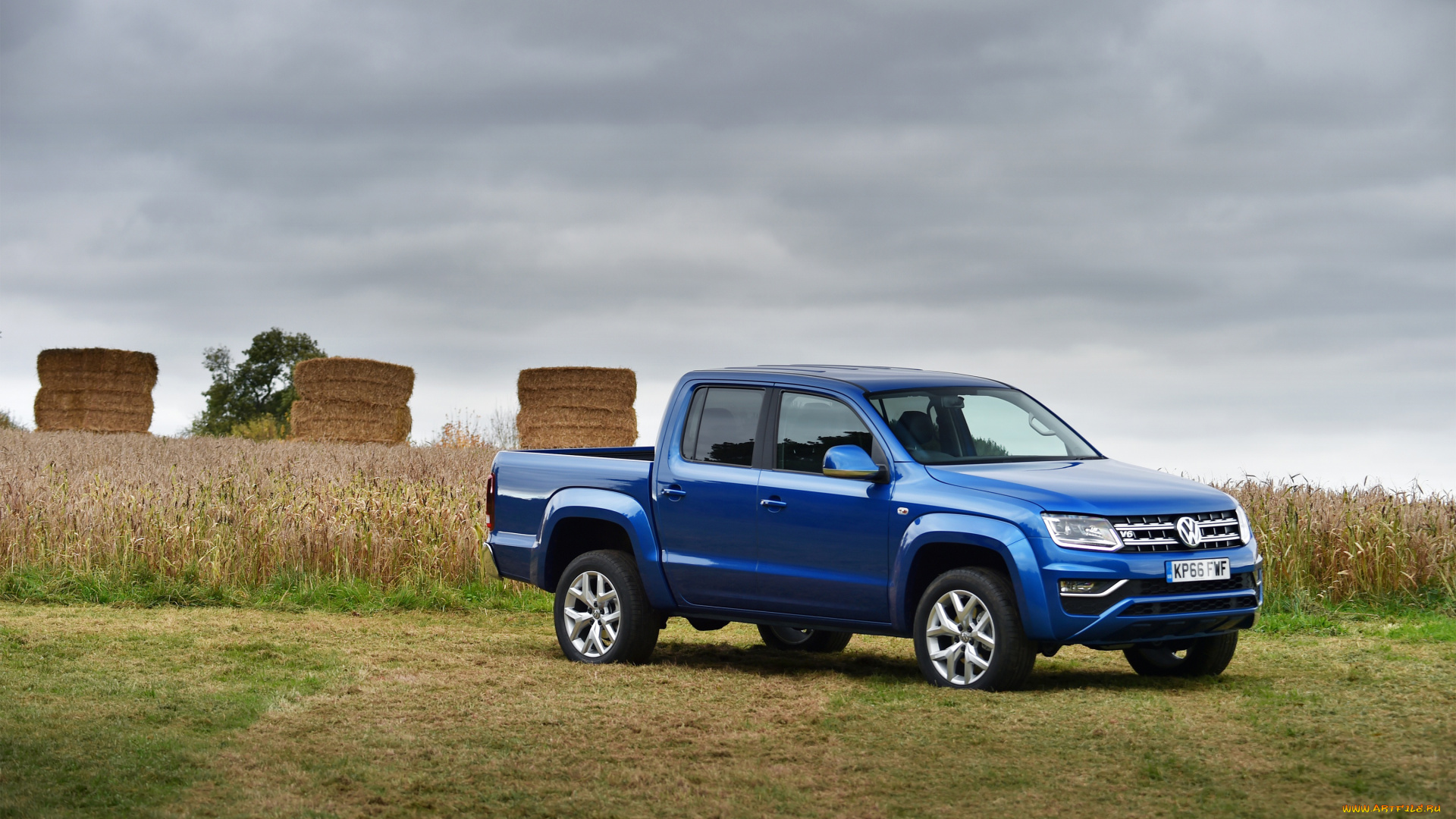 автомобили, volkswagen