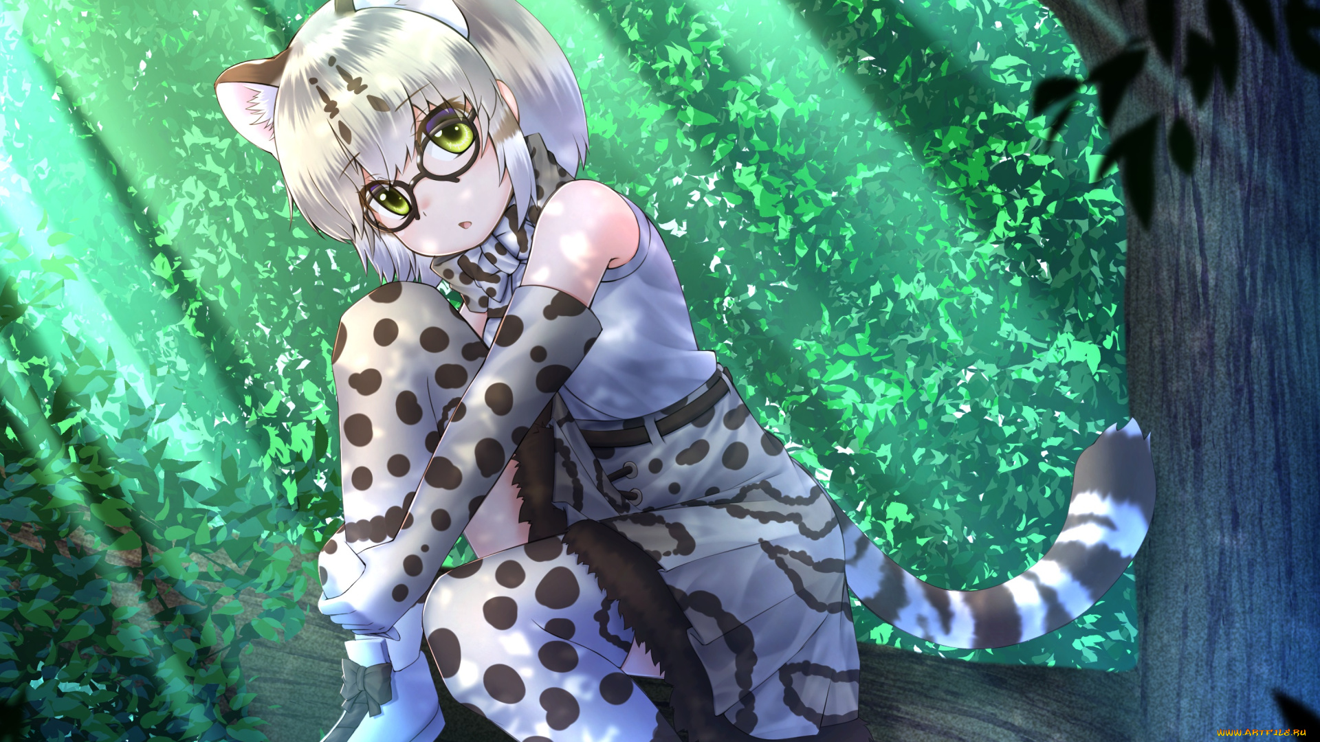 аниме, kemono, friends, kemono, friends