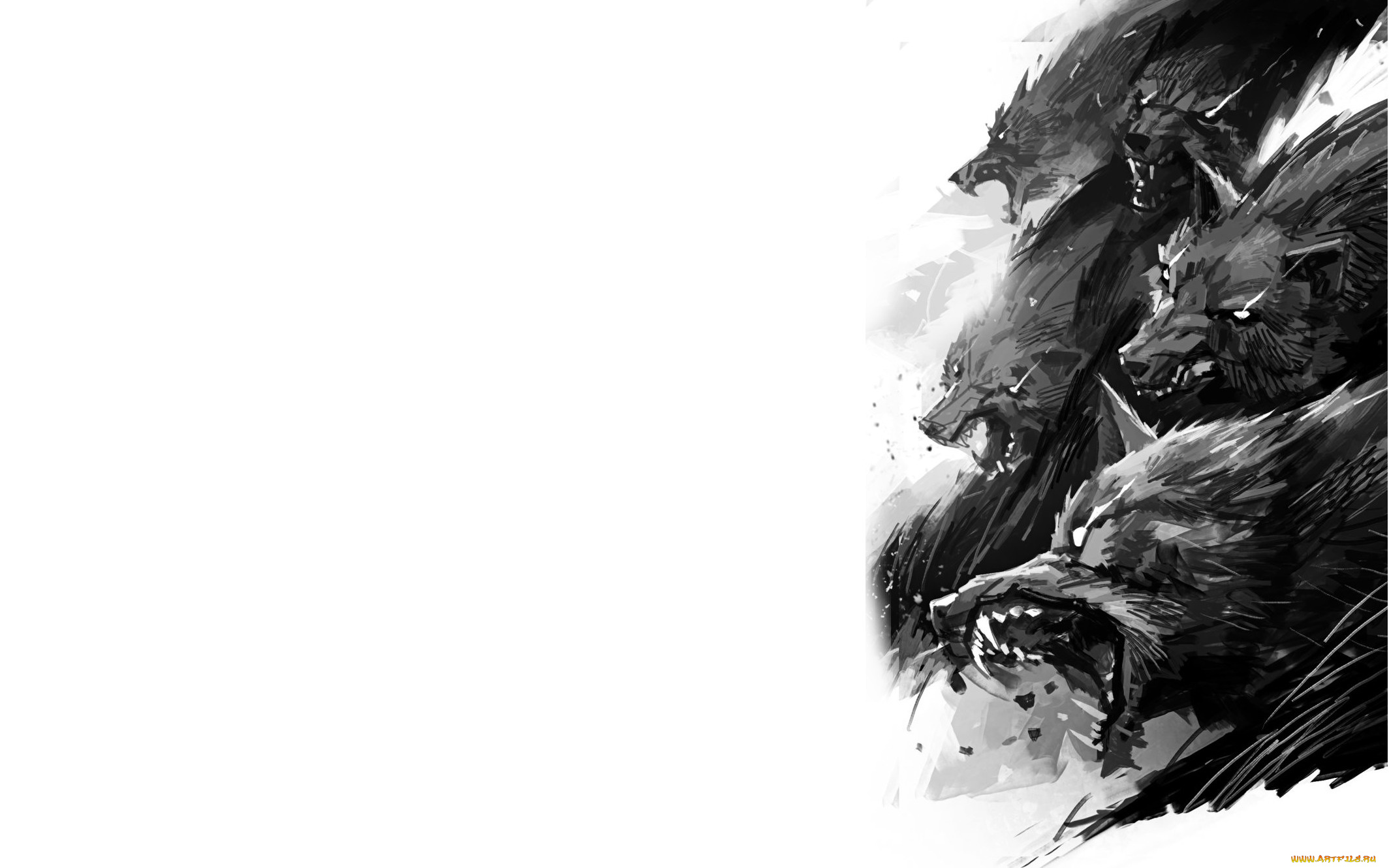 рисованное, животные, , волки, стая, волки, оскал