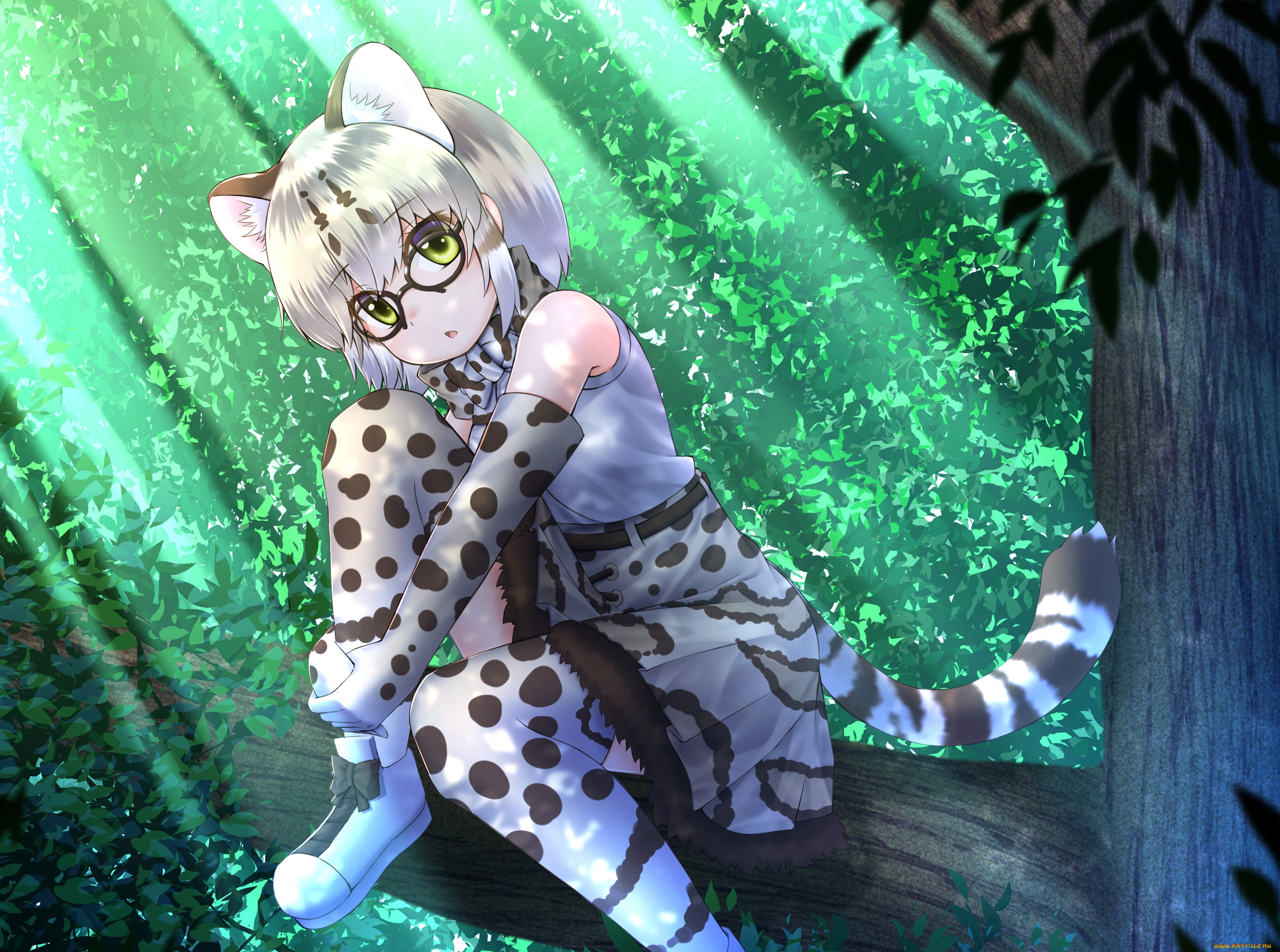 аниме, kemono, friends, kemono, friends